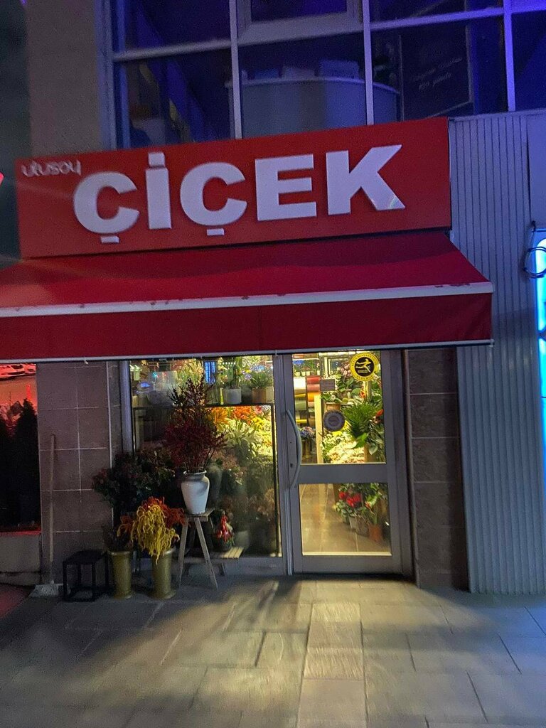 Flower shop Ulusoy Cicekcilik, Ankara, photo