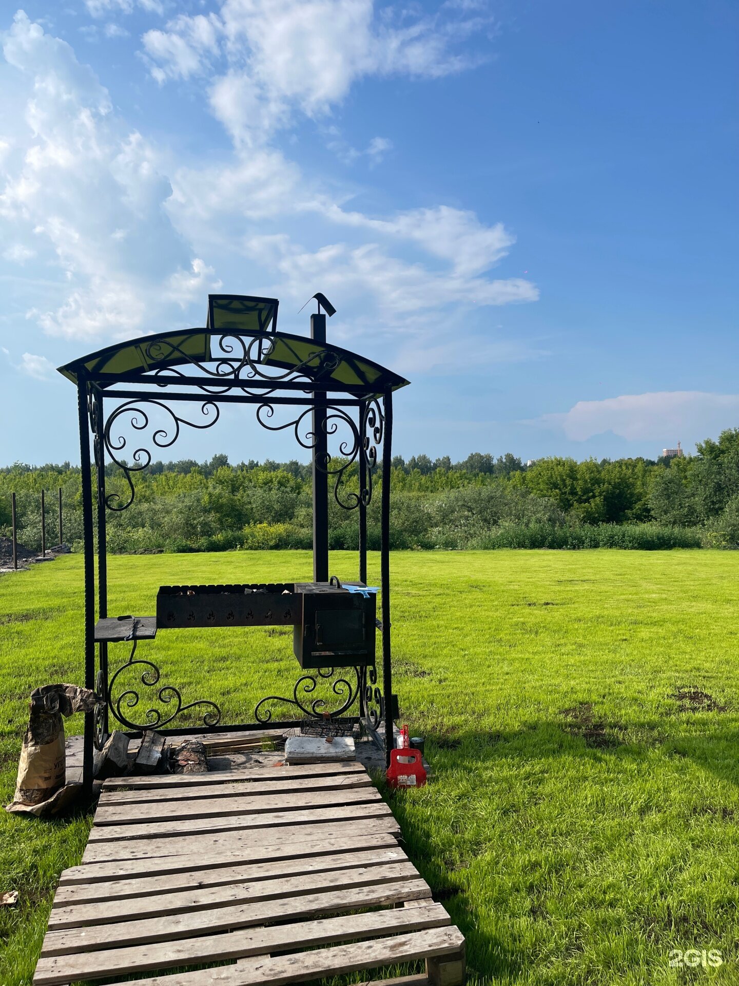 Фото Лаванда