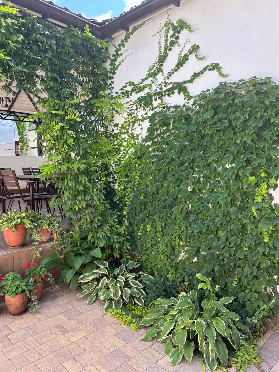 Фото Три Восьмерки