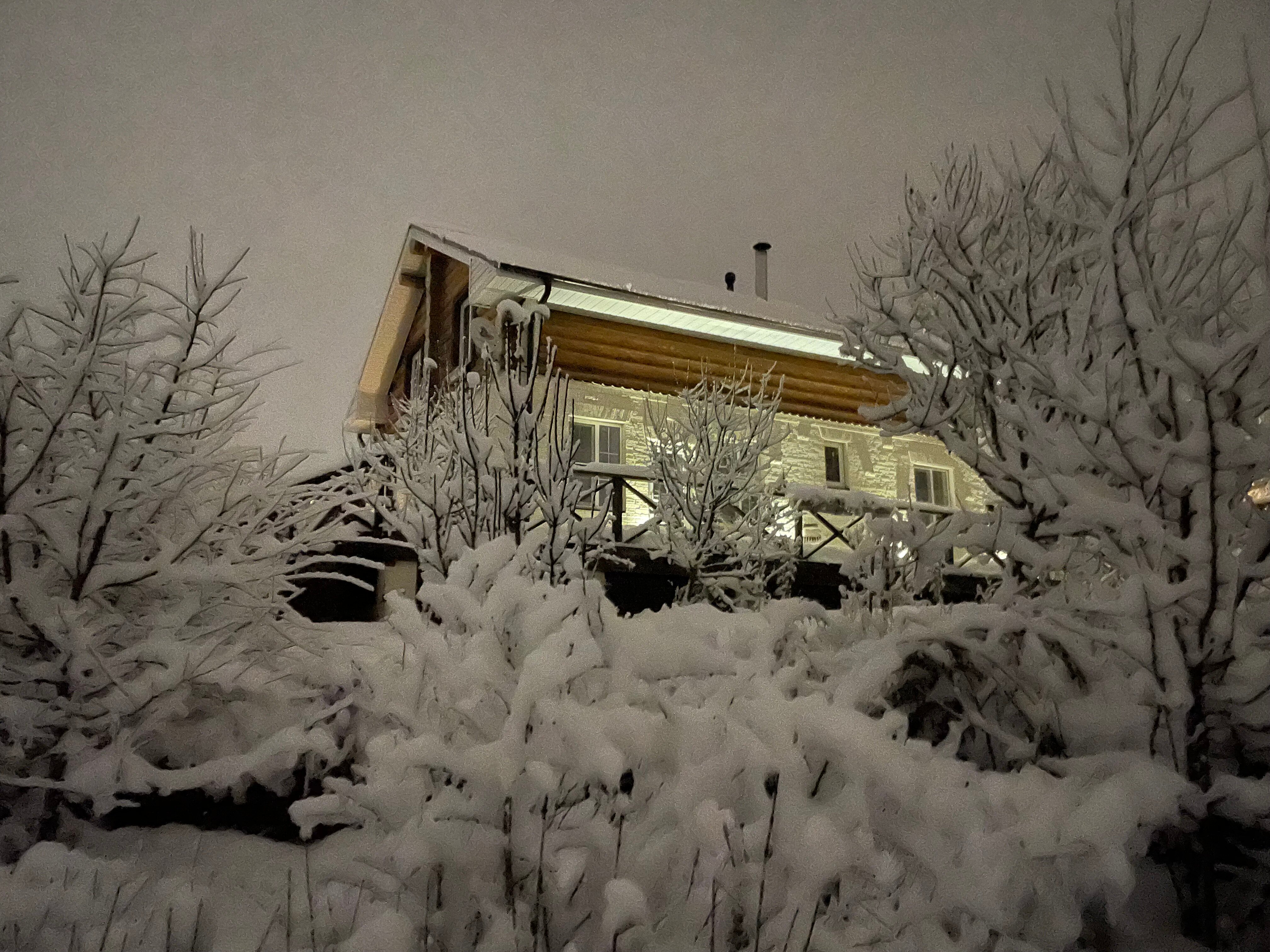 Фото Four seasons