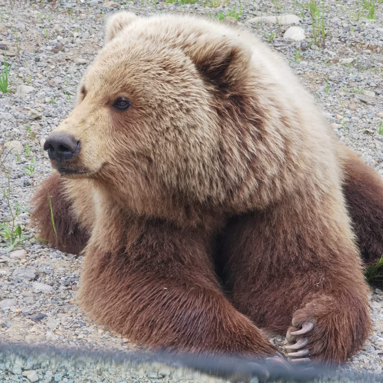 Фото АпачаКамТрэвел