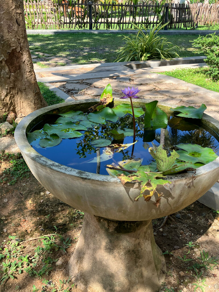 Cafe The Garden House, Southern Province, photo