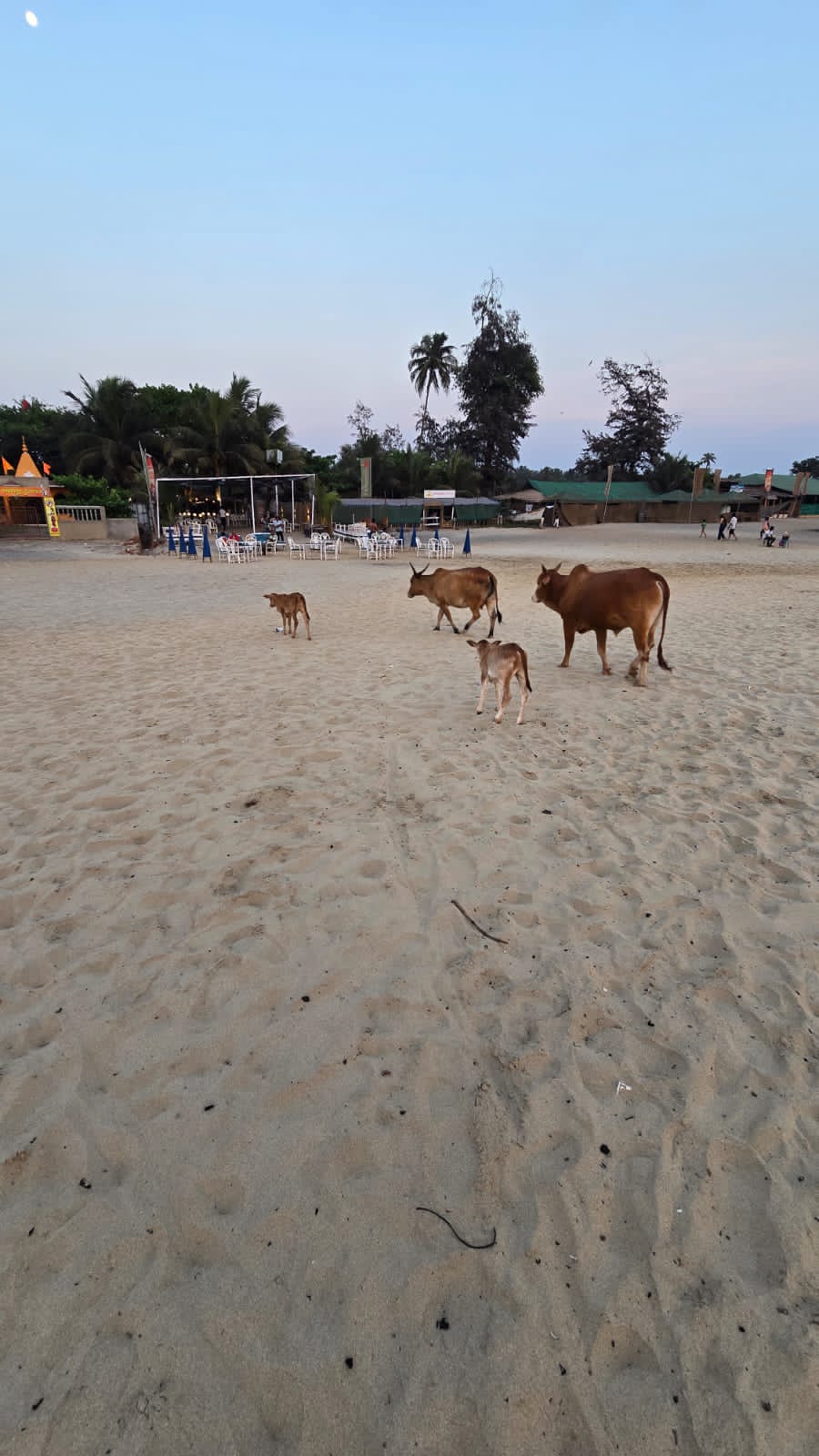 Фото Swati Hotel