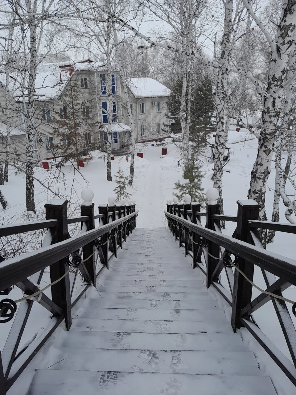 Фото Жемчужина