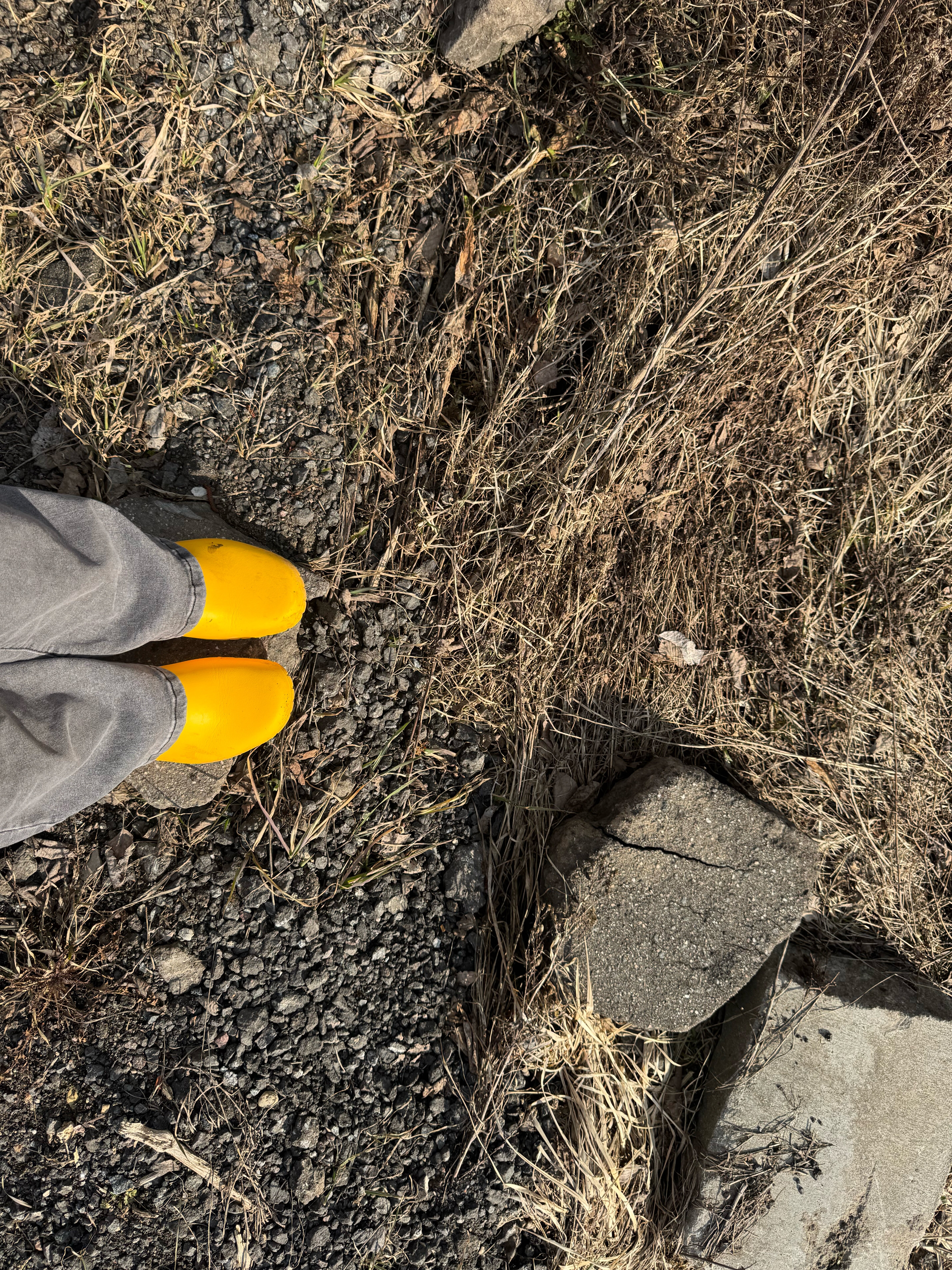 Фото Resurs House