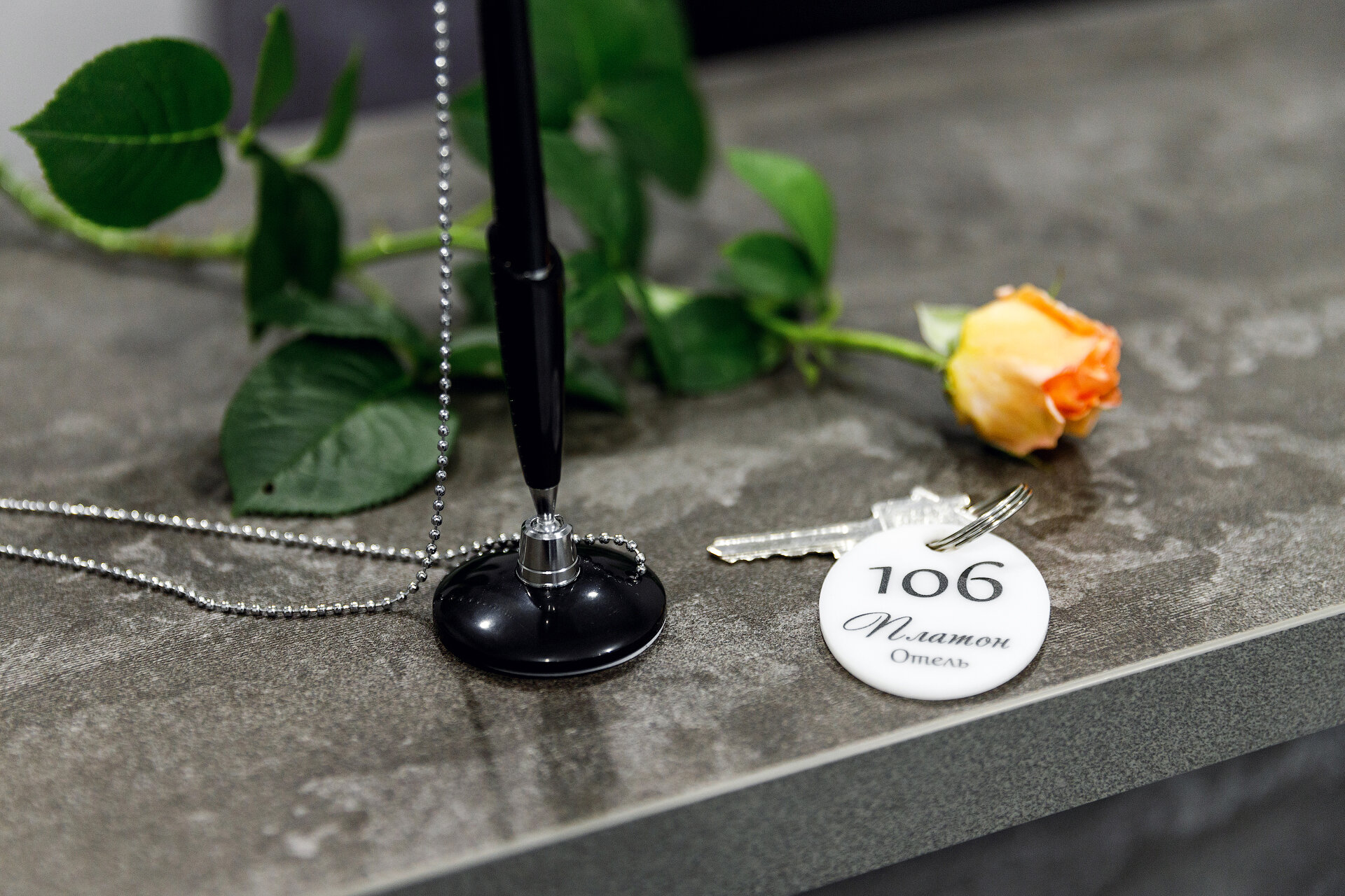 Фото Платон