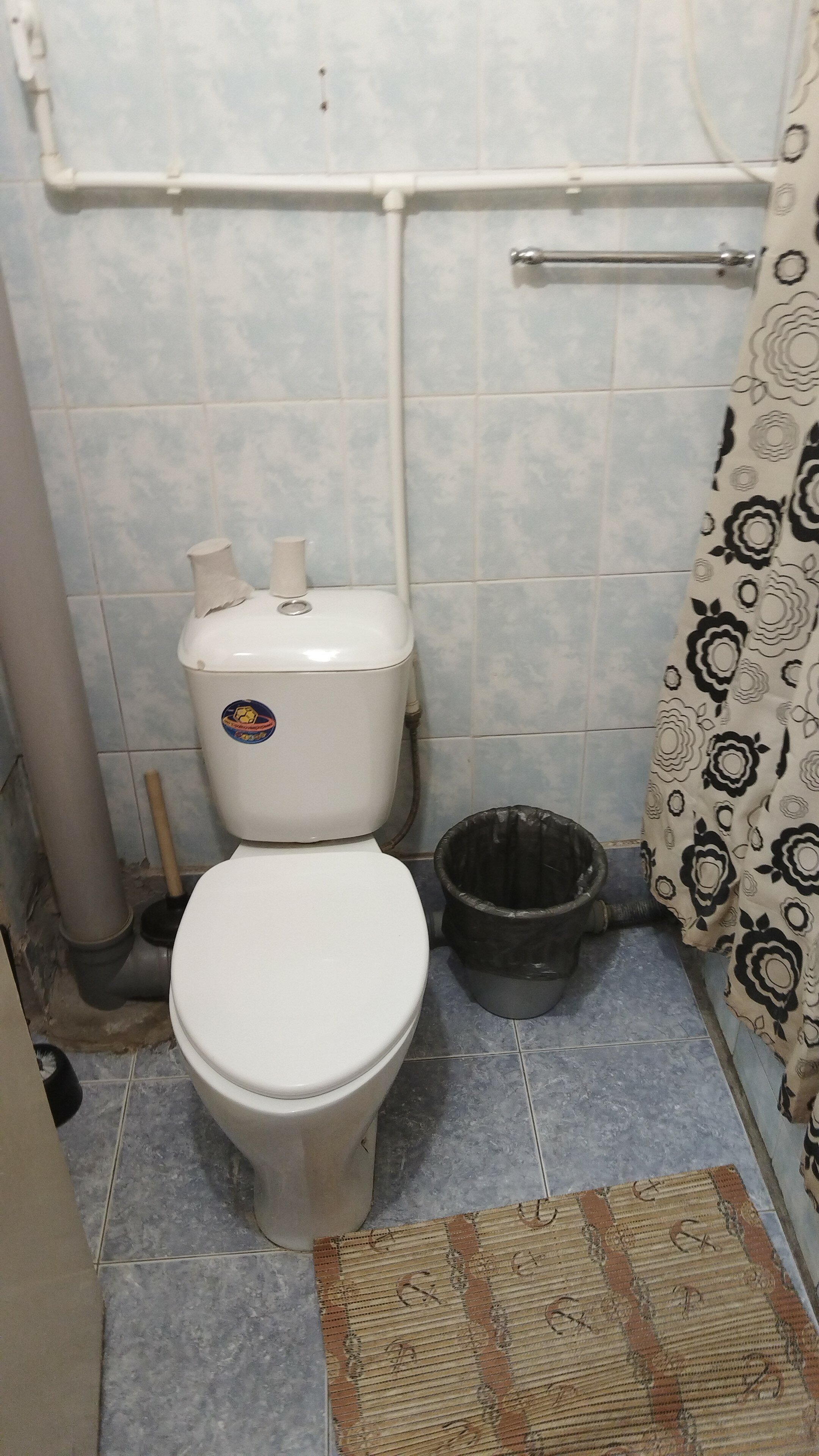 Фото Лазоревая