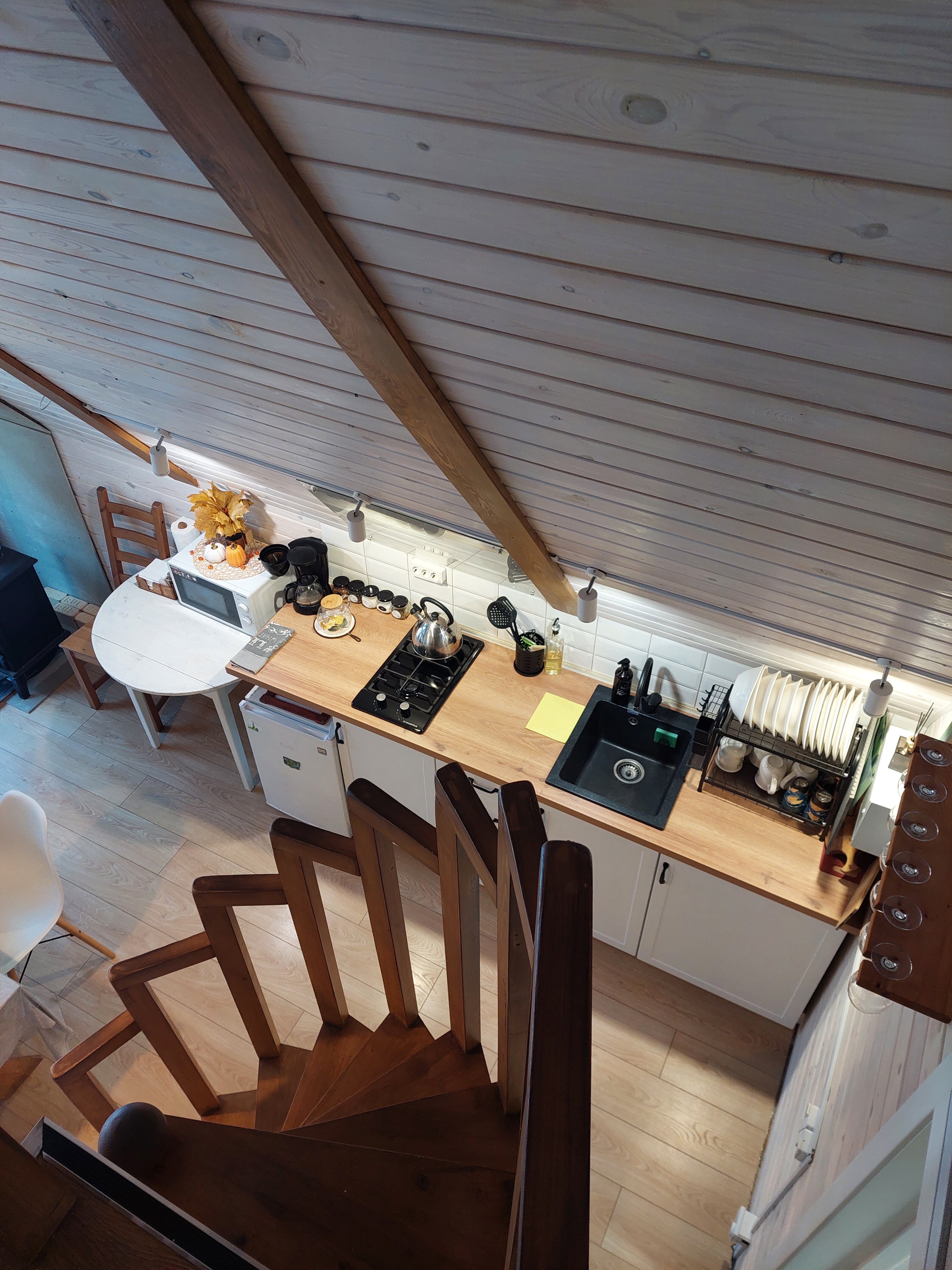 Фото Бурундуки