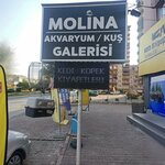 Molina Aquarium-Bird Gallery (Kayseri, Kocasinan District, Turgut Reis Avenue, 23D) ، متجر للحيوانات الأليفة