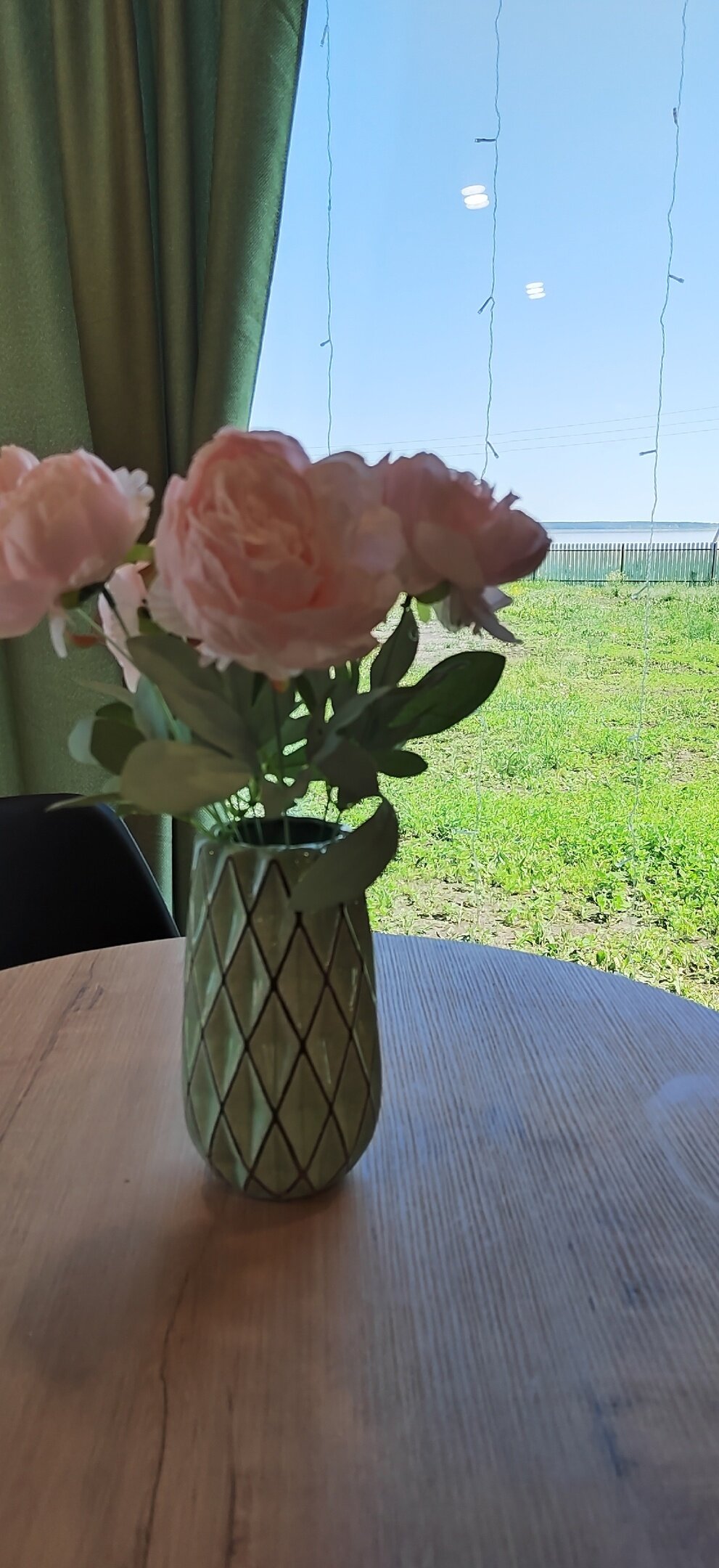 Фото Малина кемп