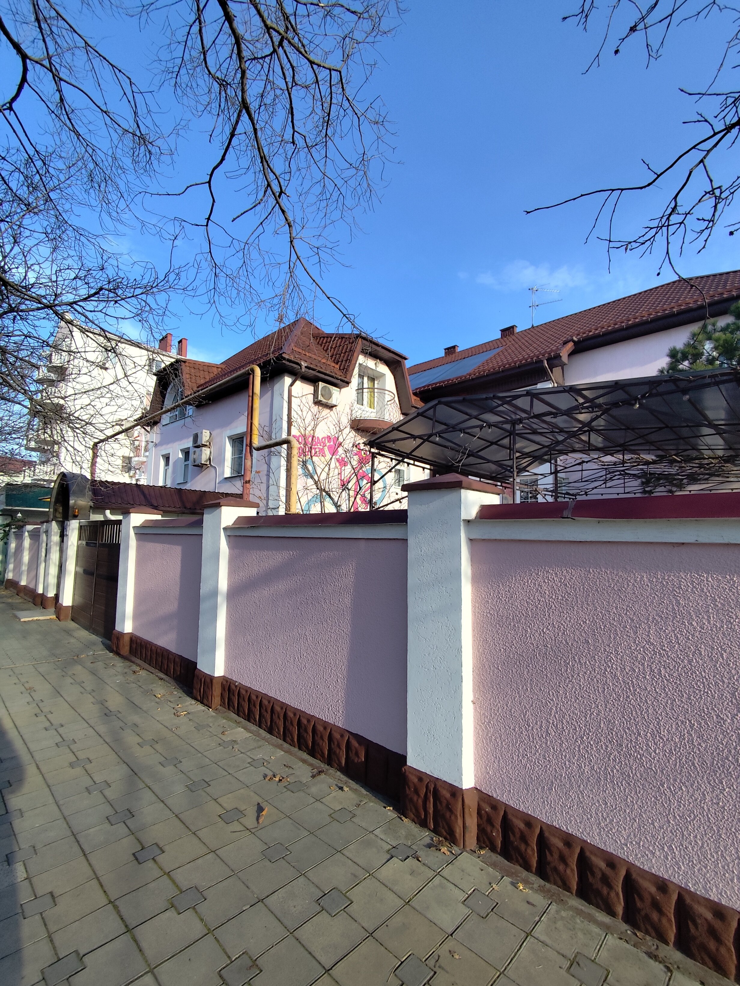 Фото Розовая Пантера