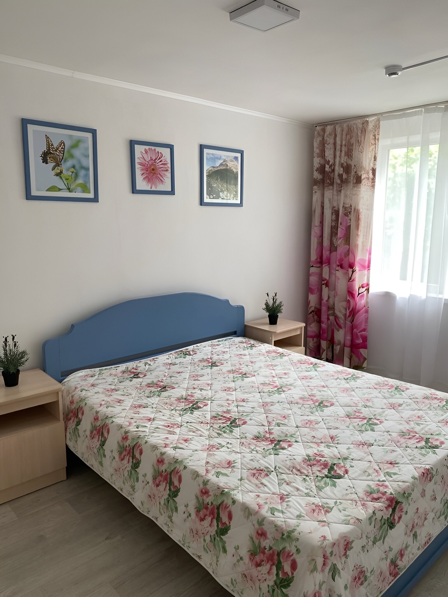 Фото Бирюза-Юг