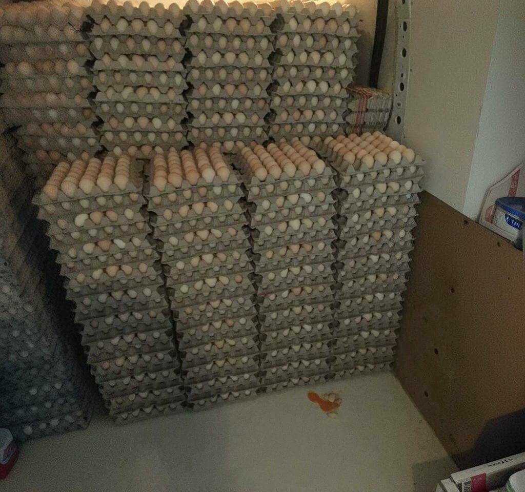 Wholesale store Başaran Yumurta, Izmit, photo