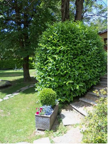 Фото Albergo Ristorante La Torre