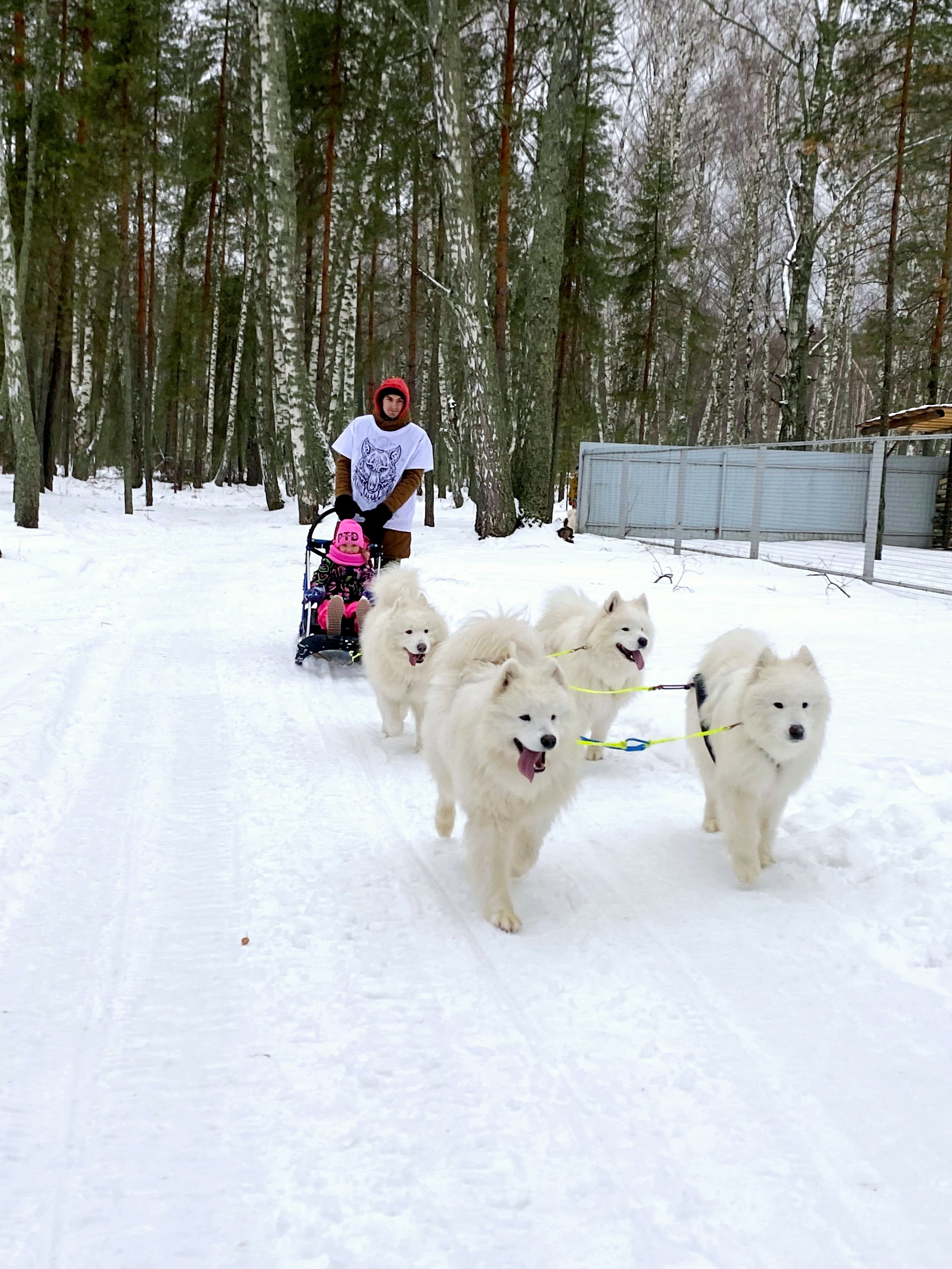 Фото Щукино