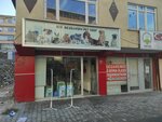Ata Akvaryum (Ankara Province, Mamak District, Sahintepe District, 687th Street, 6 C) ، متجر للحيوانات الأليفة