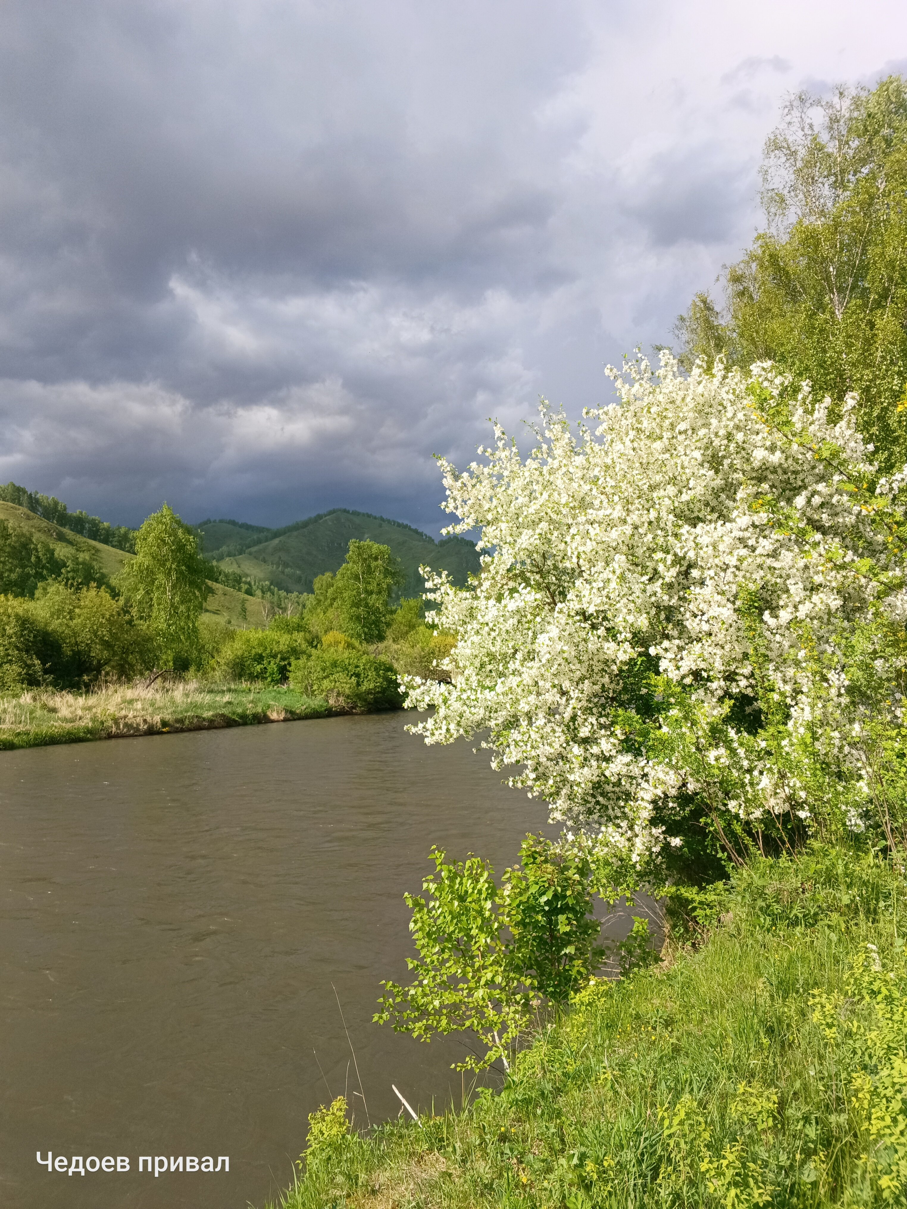 Фото Чедоев привал