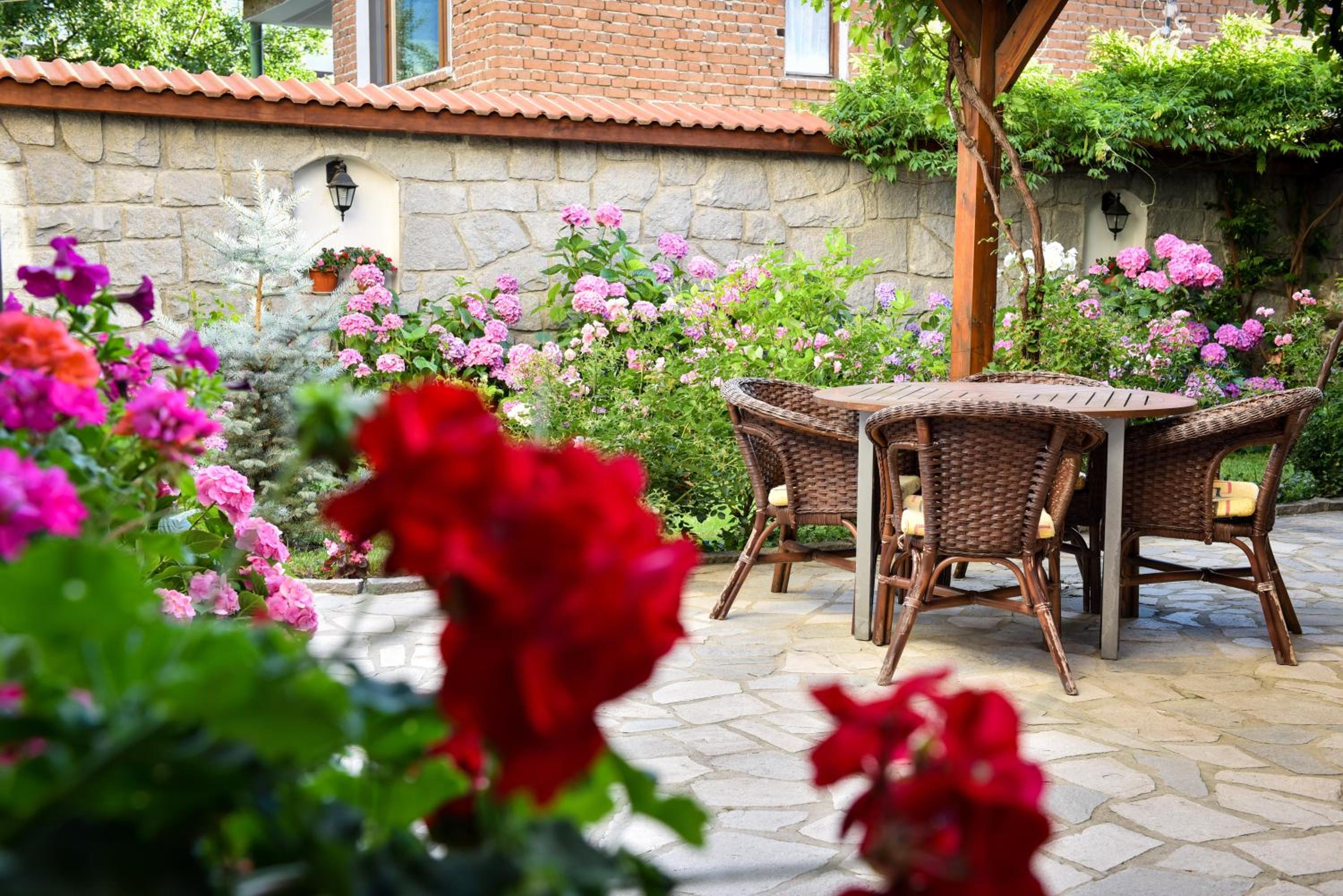 Фото Lina Guest house