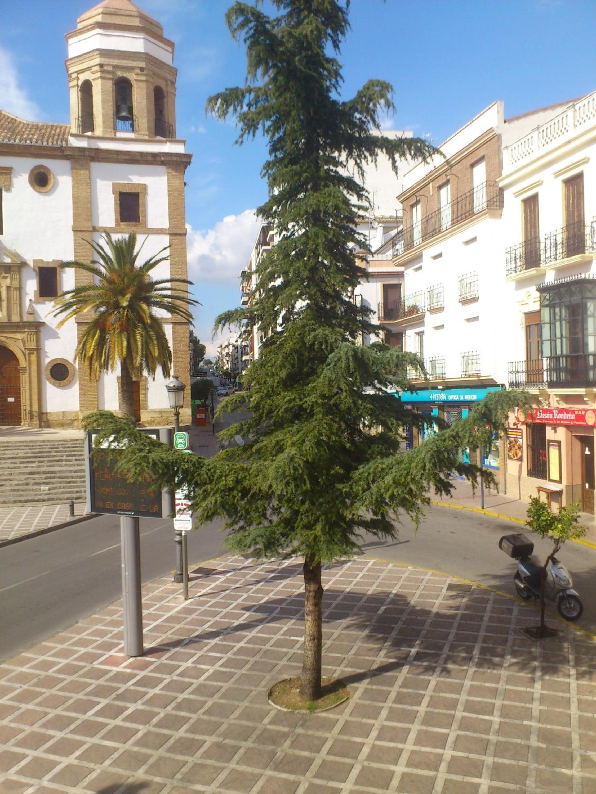 Фото Hotel Royal