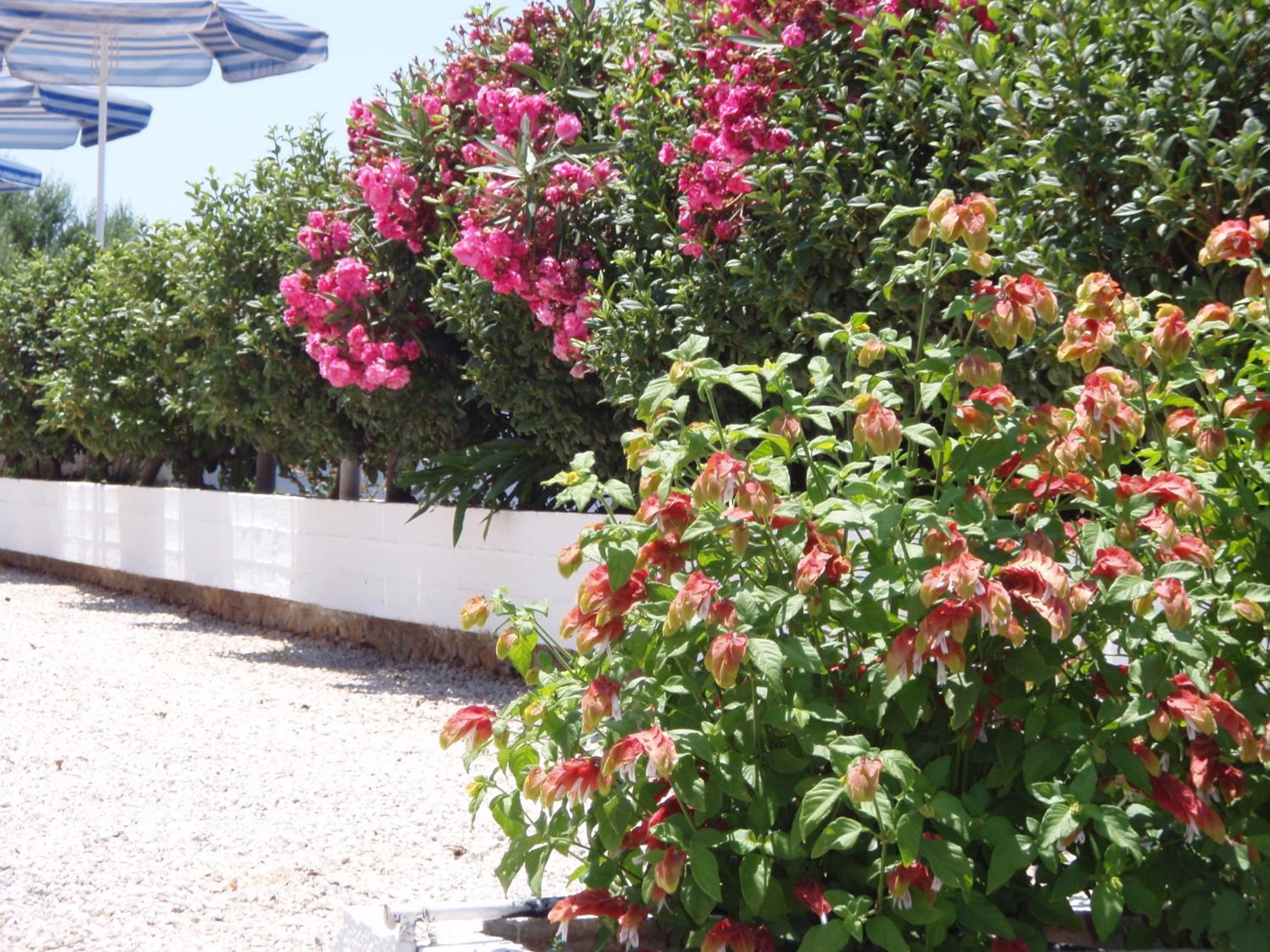 Фото Michalis Villas