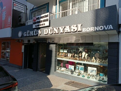 Gümüş Dünyası Fotoğraf 1