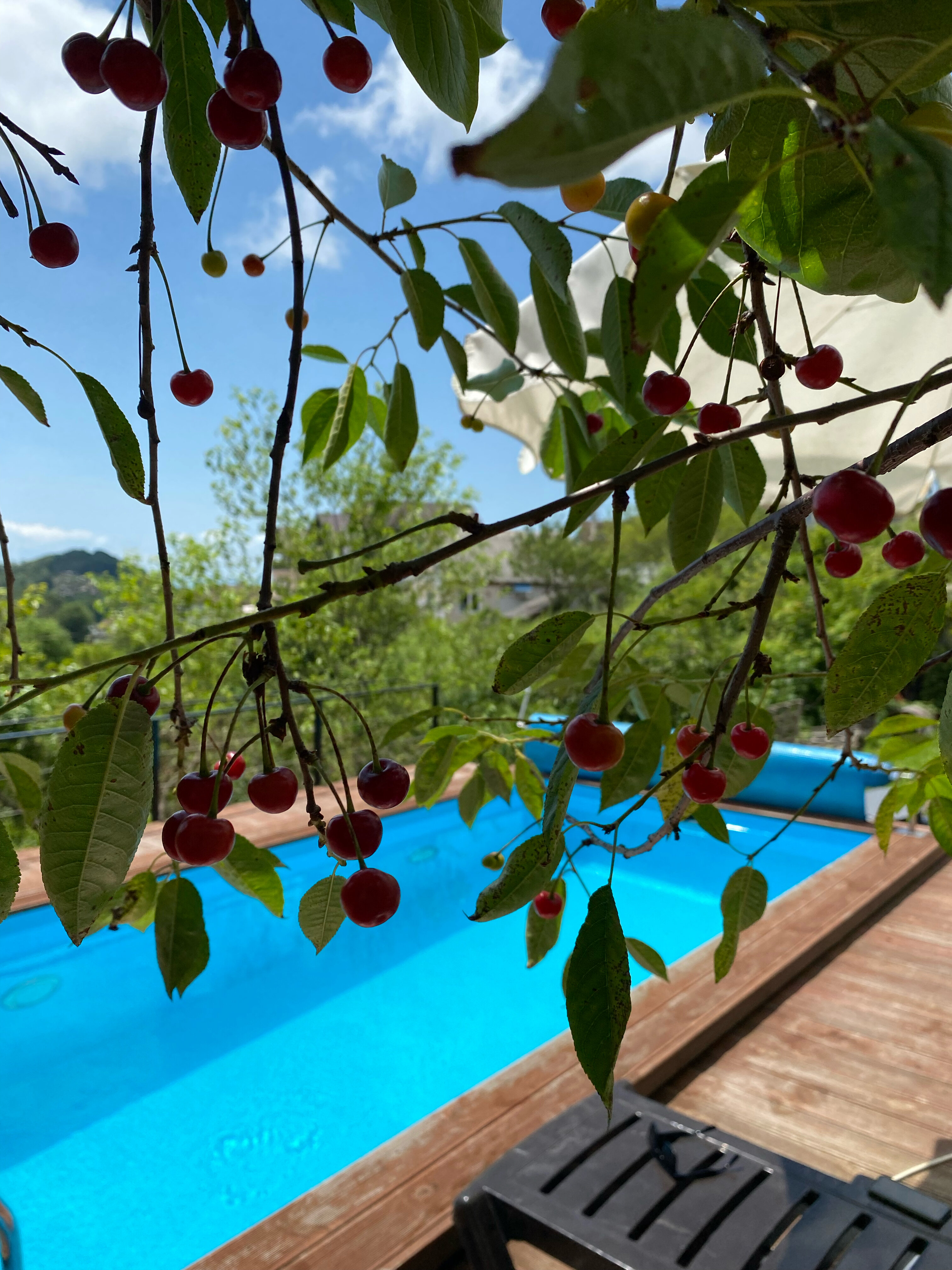 Фото Видисвет