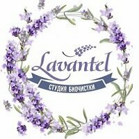 Лавантел