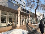 New Car Almaty (Raiymbek Avenue, 115), car dealership