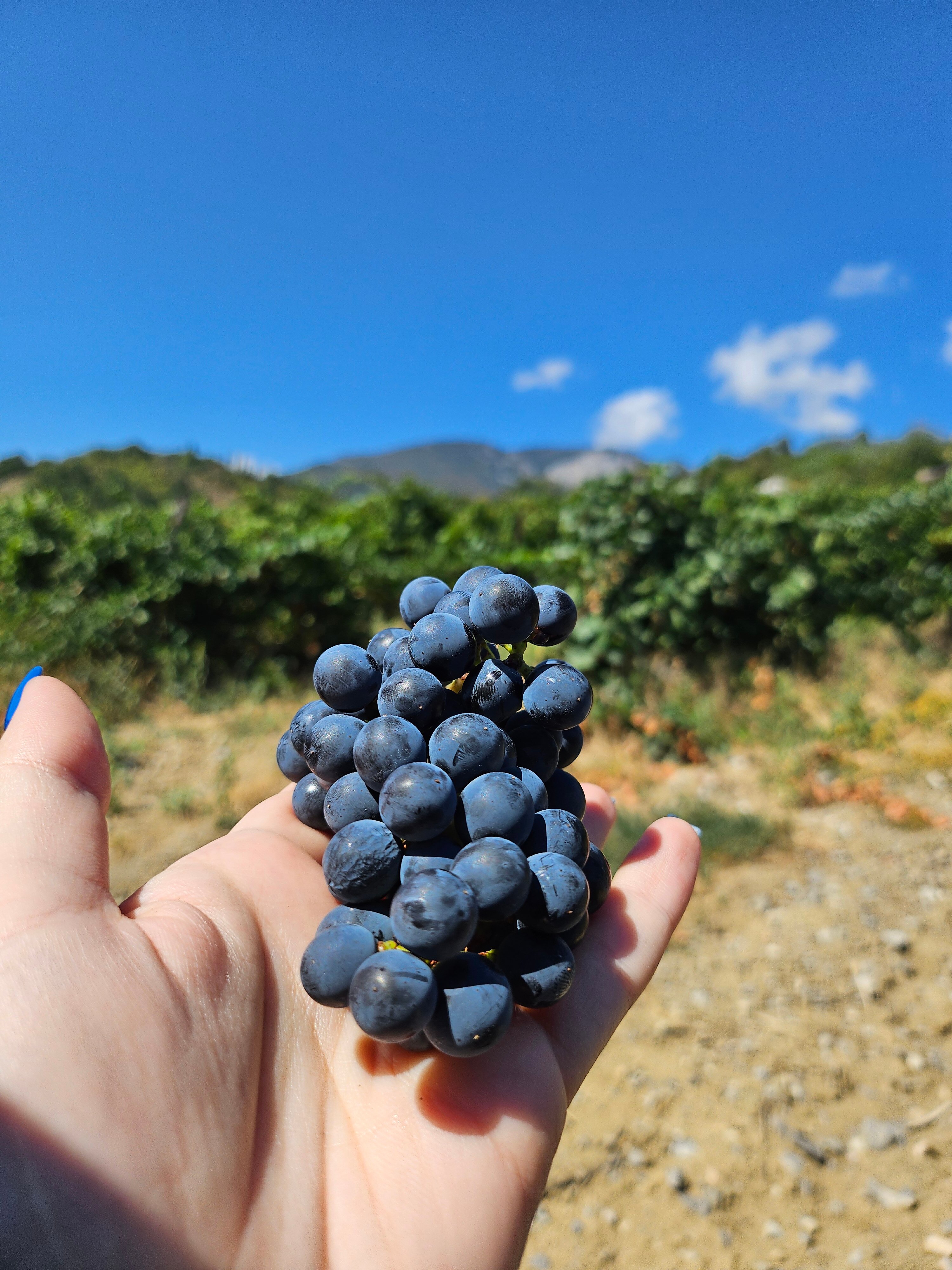 Фото Дом в кедрах