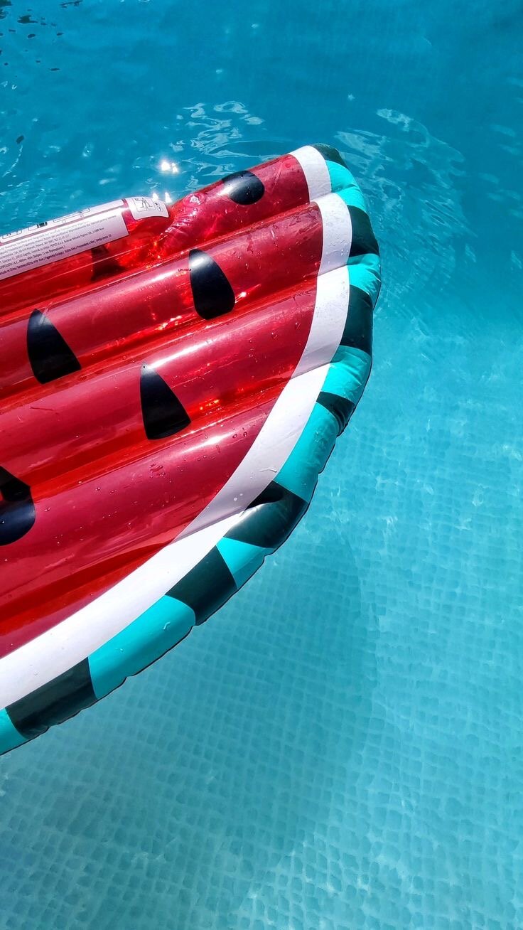 Фото Эдельвейс