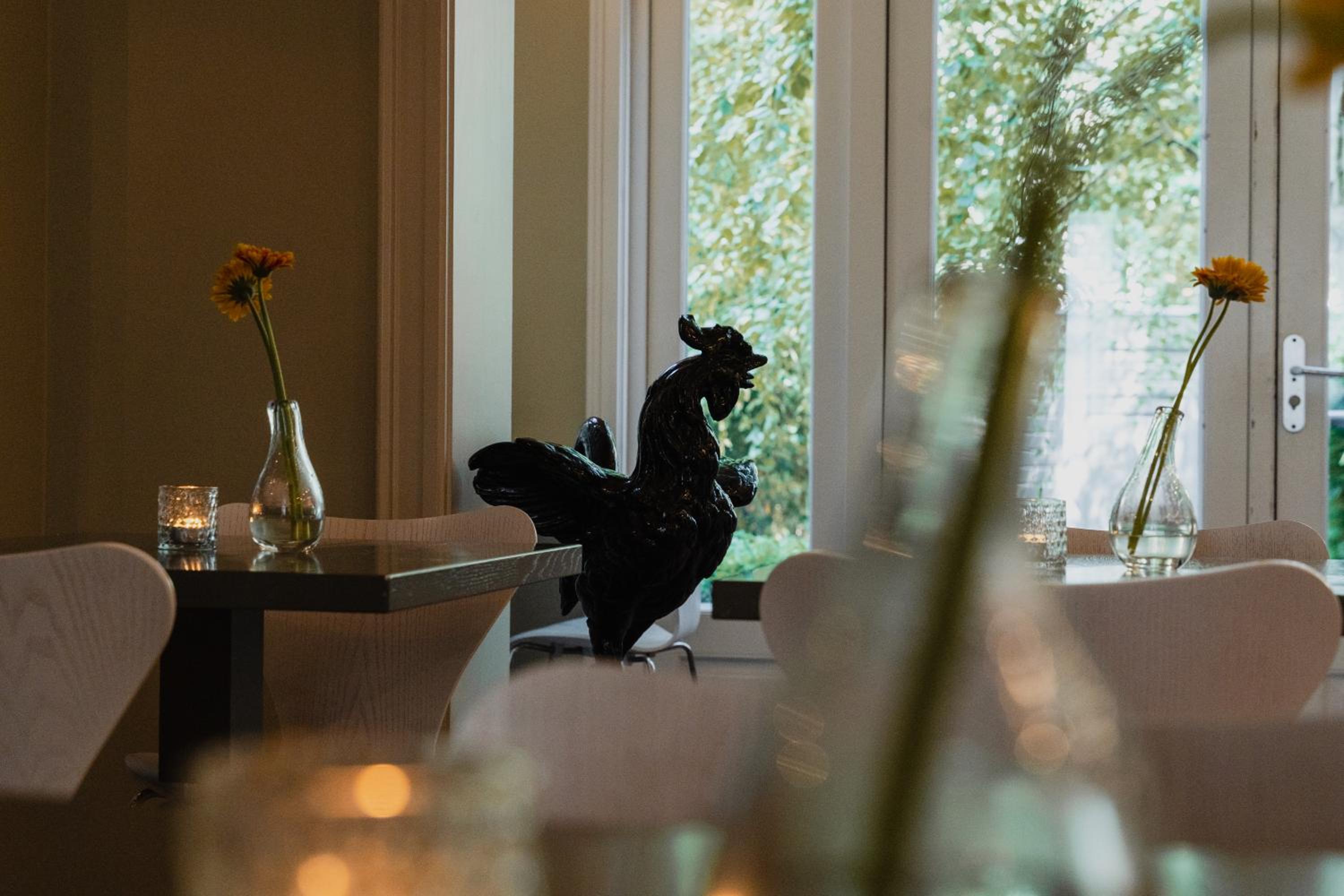 Фото Hotel Roemer