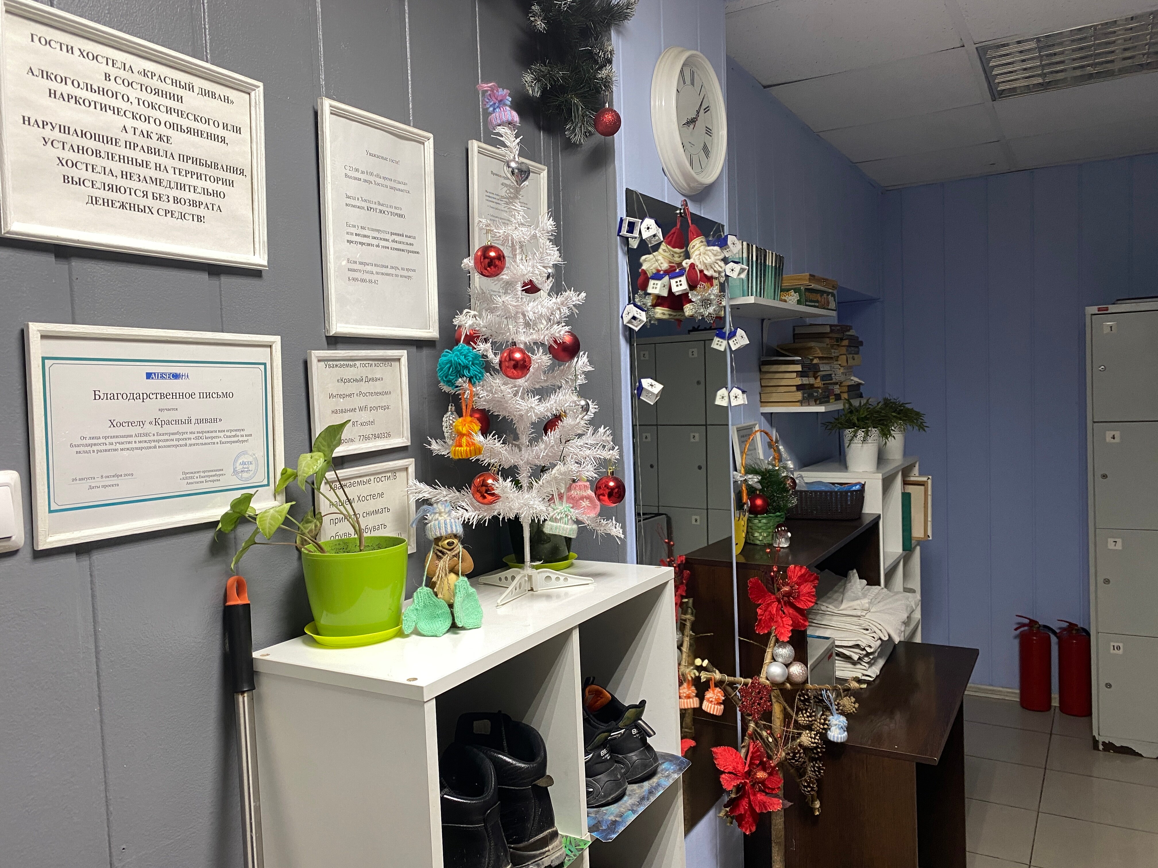 Фото Красный диван