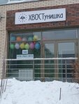 ХВОСТунишка (Trolleynaya Street, 22/1), pet salon