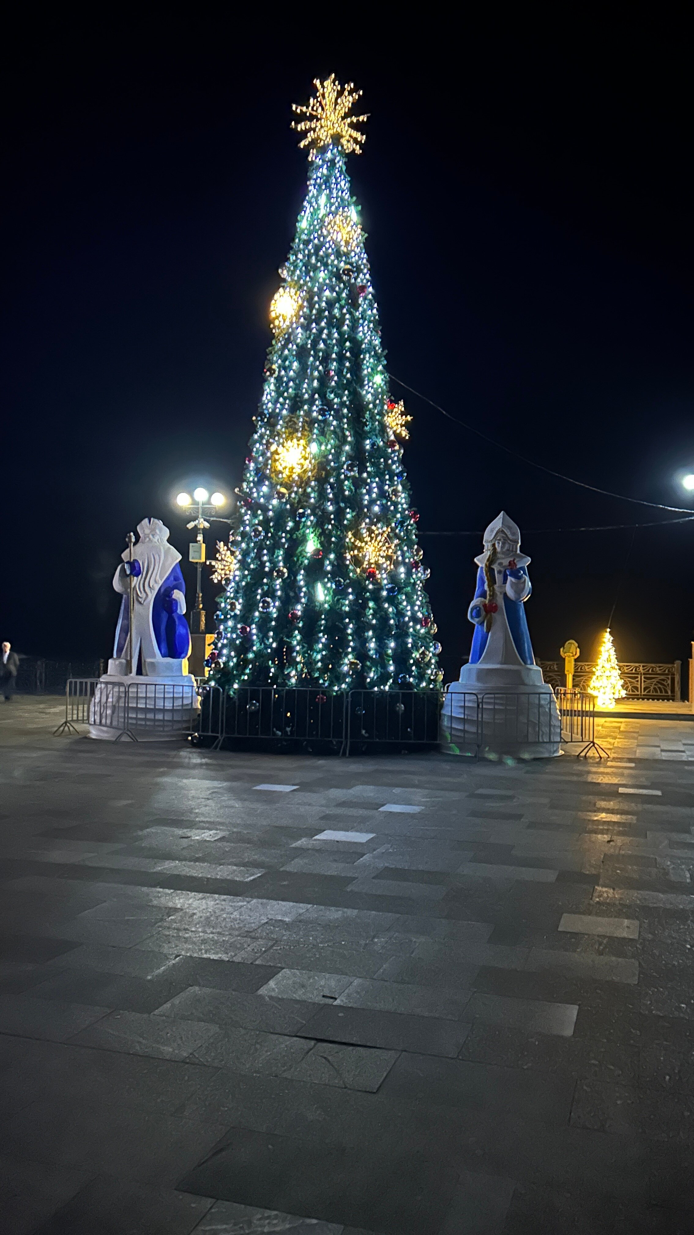 Фото Судак Делюкс