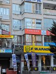 Başkent Tercüme (Ankara Province, Cankaya District, Gazi Mustafa Kemal Boulevard, 32), translation agency