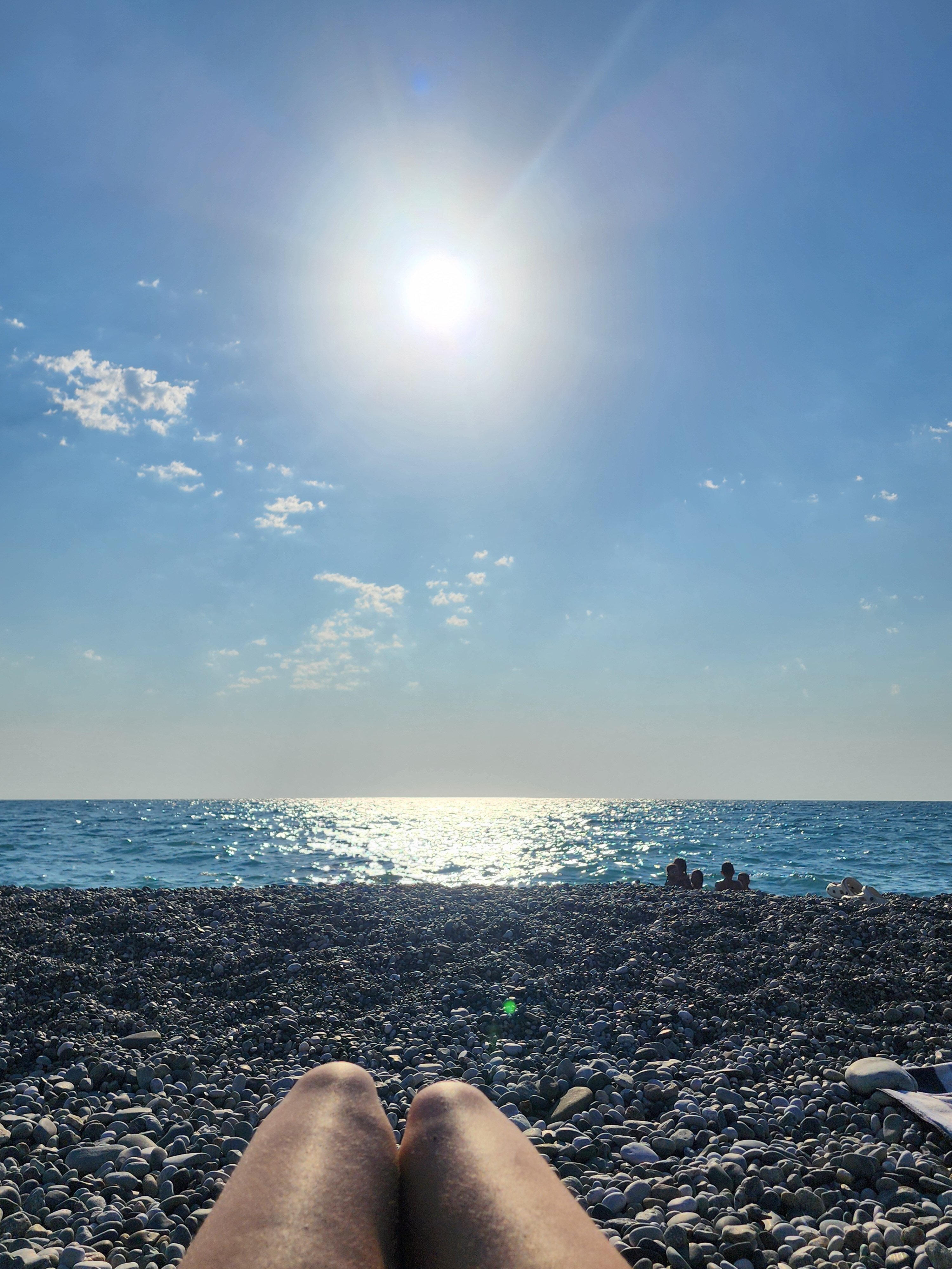 Фото Династия