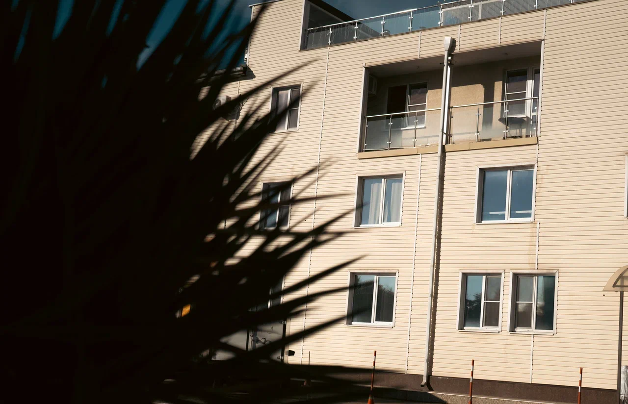 Фото Старый Лис