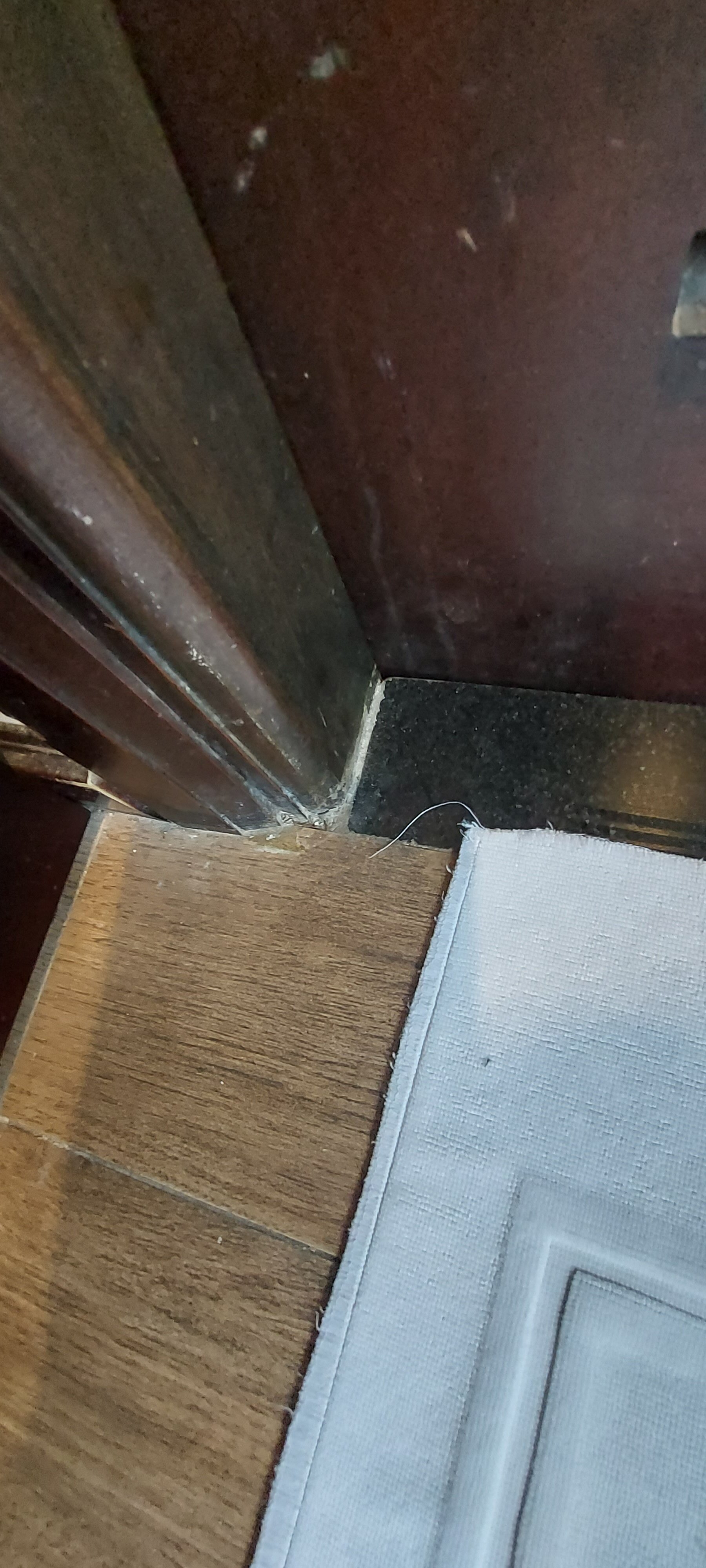 Фото Edele Hotel