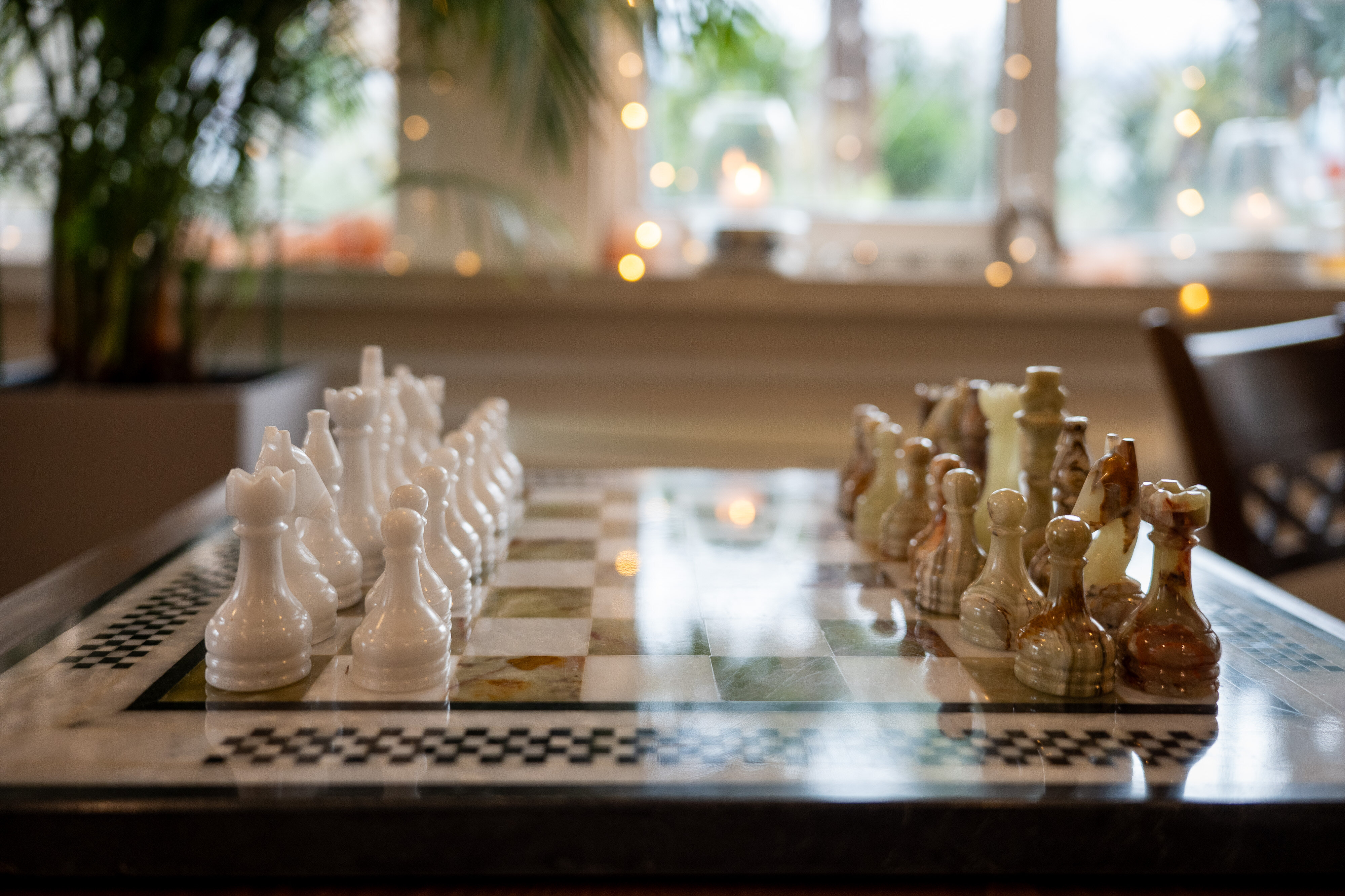 Фото Мускатель