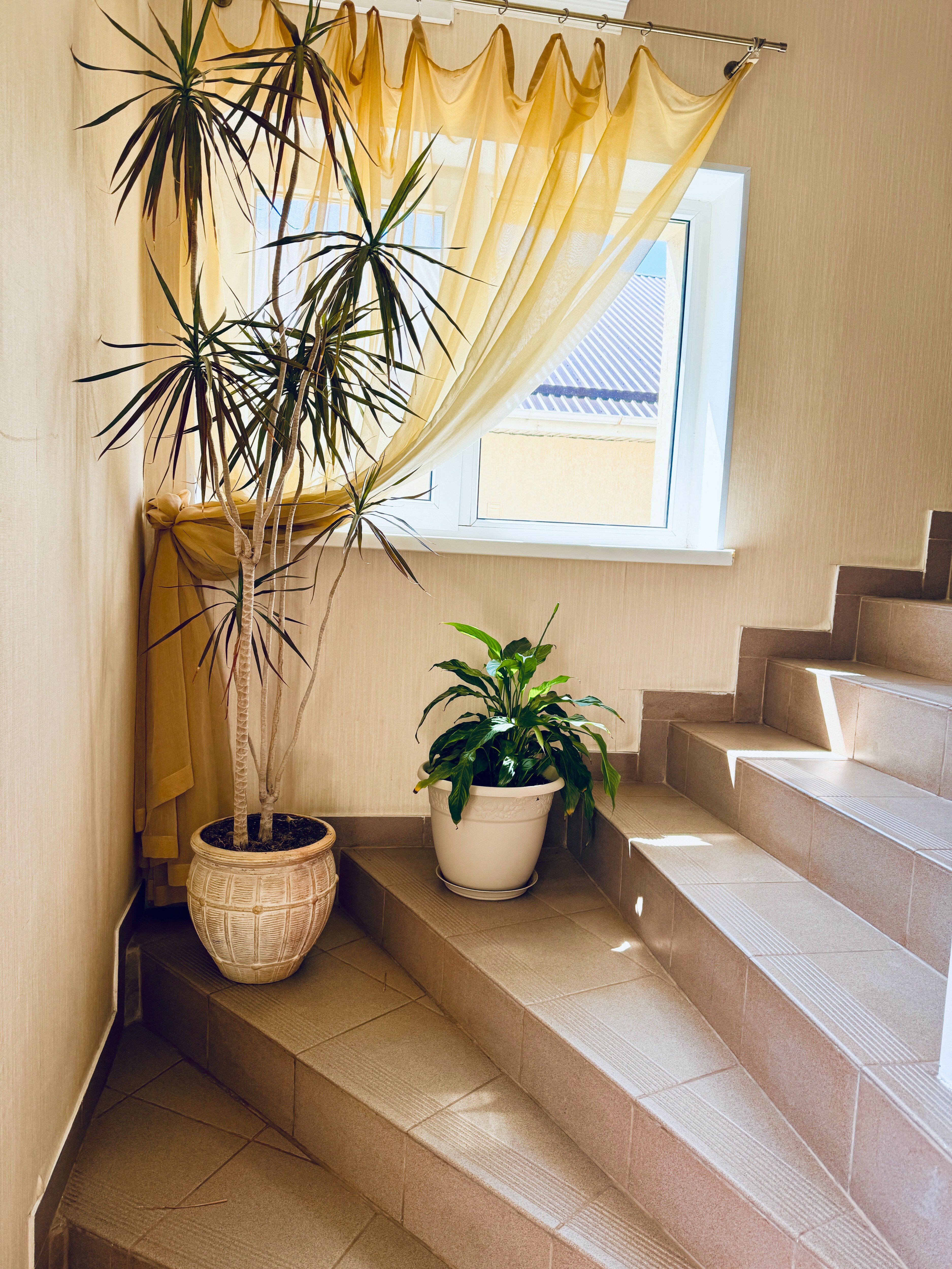 Фото Маргарита