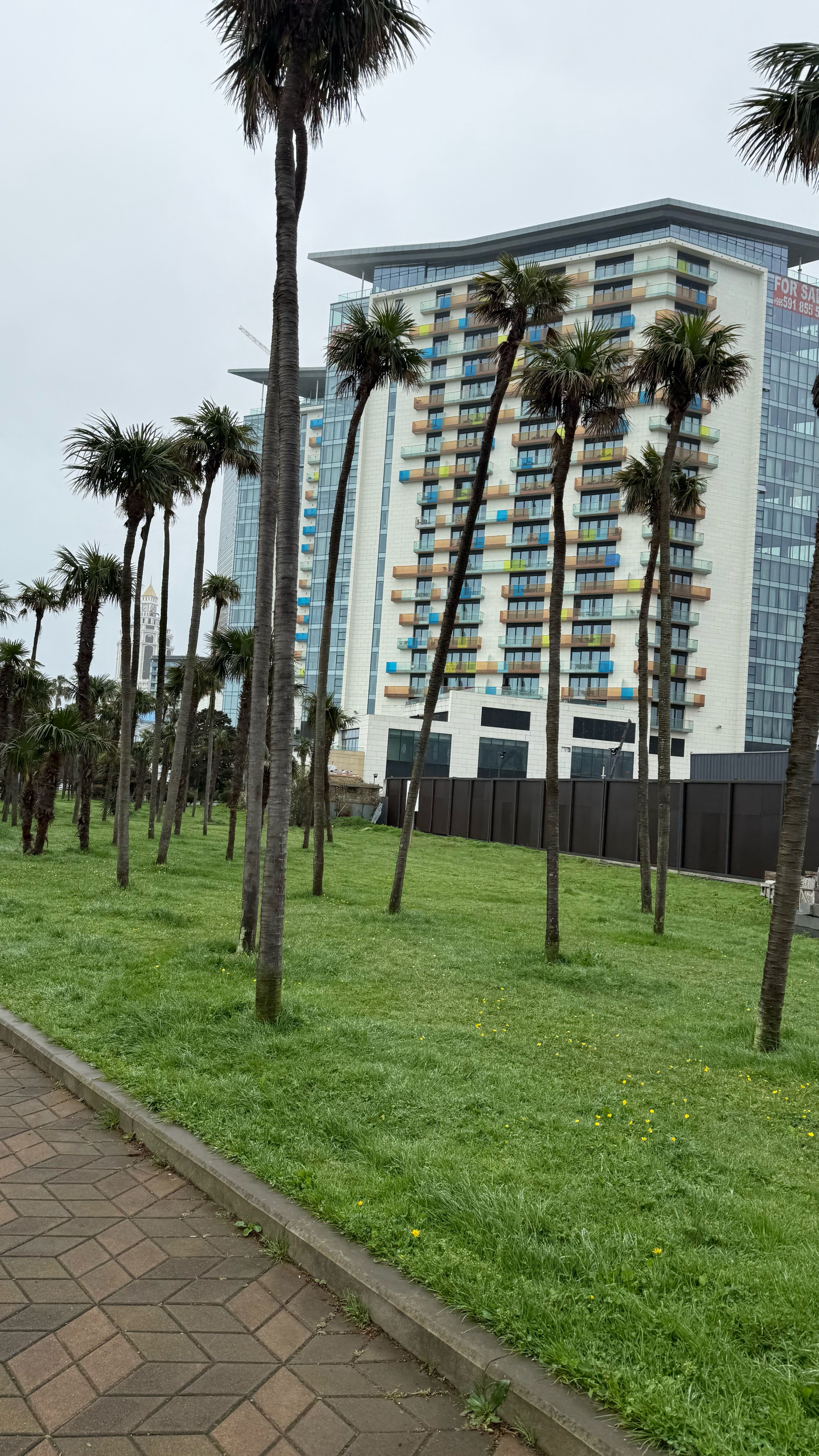 Фото Hilton Batumi