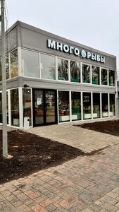 Много рыбы (Leningradskiy Avenue, 75Б), cafe