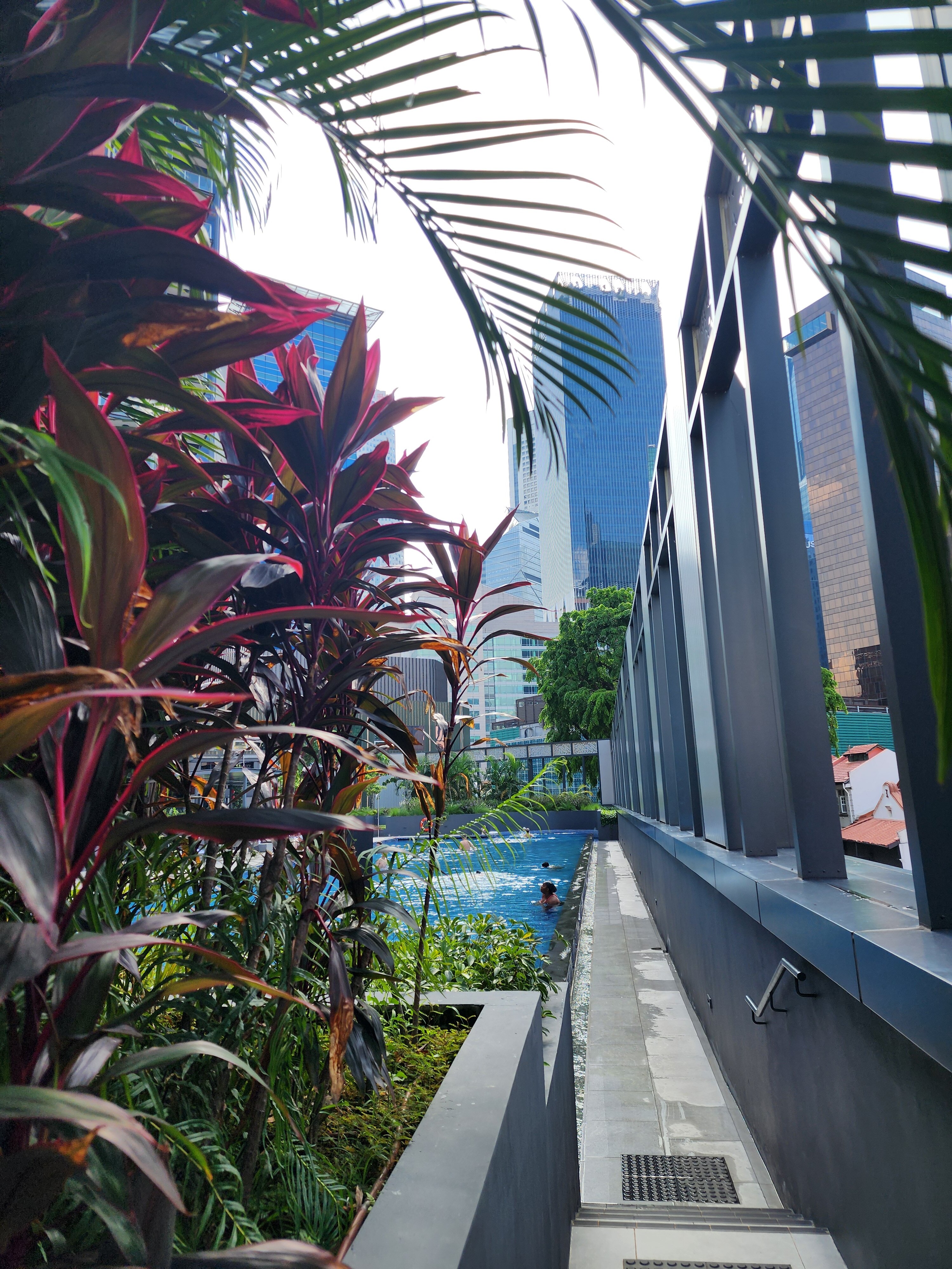 Фото Mercure Icon Singapore City Centre