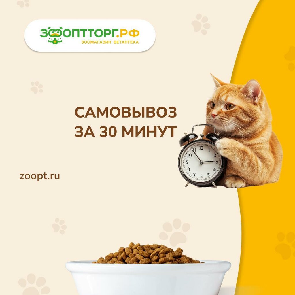 Pet shop ZooOptTorg. rf, Saint Petersburg, photo