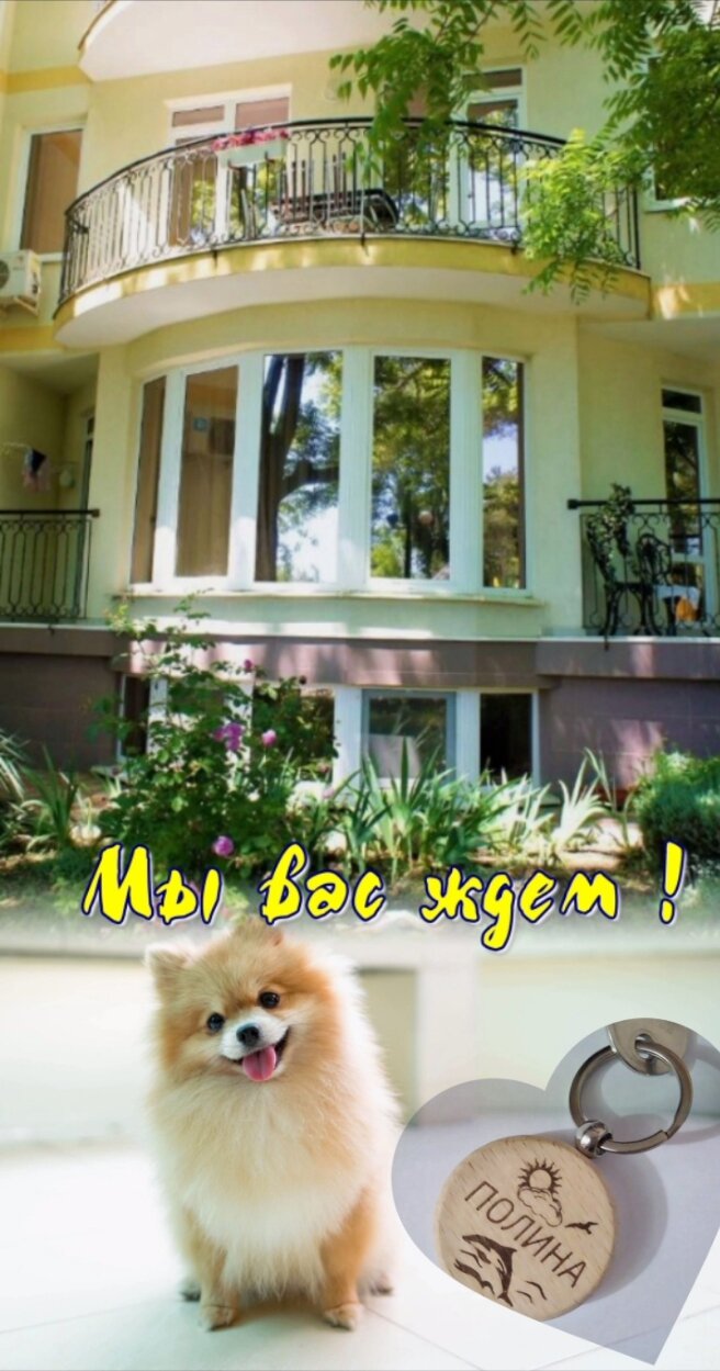 Фото Полина