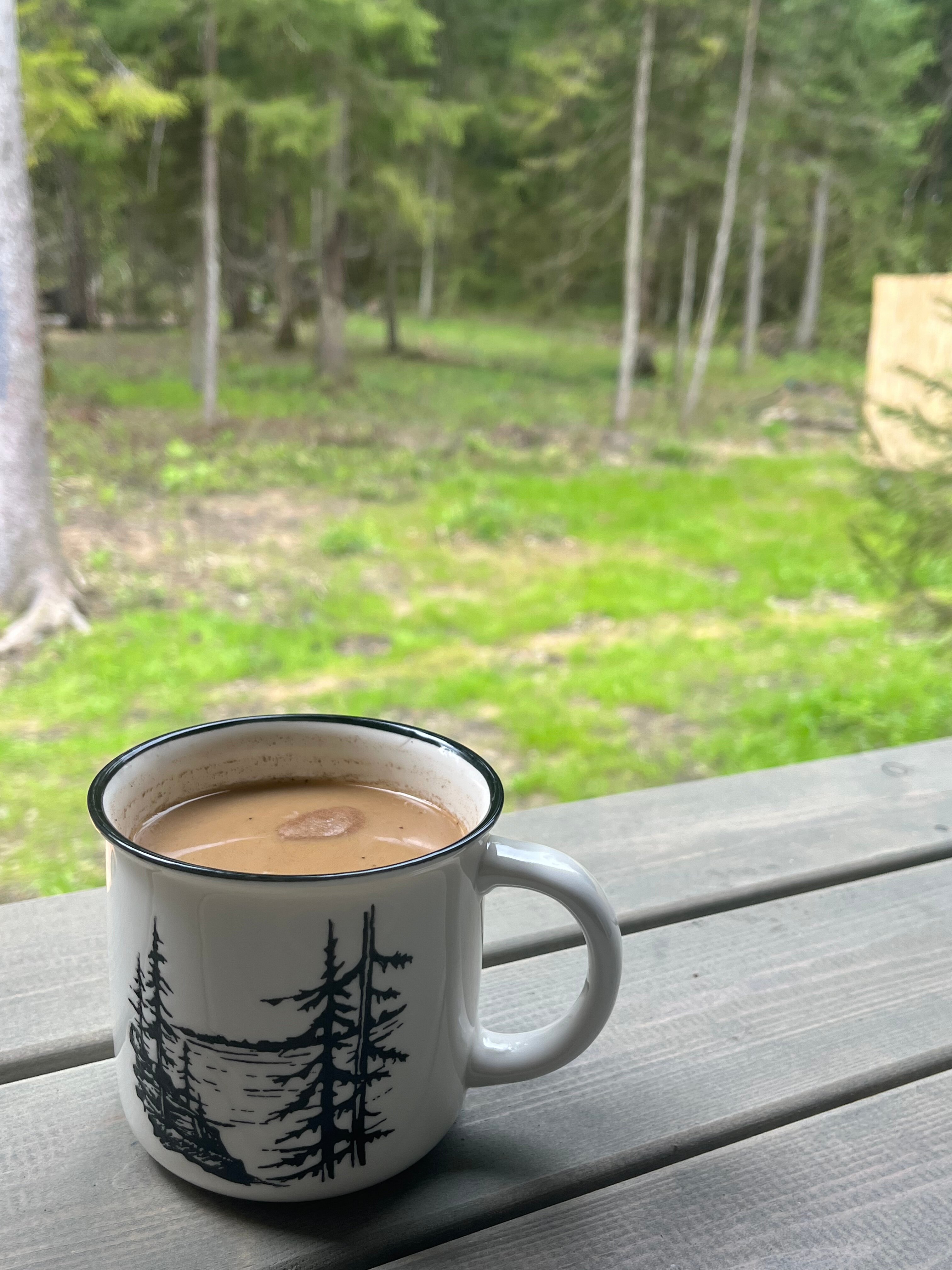 Фото Лесариум