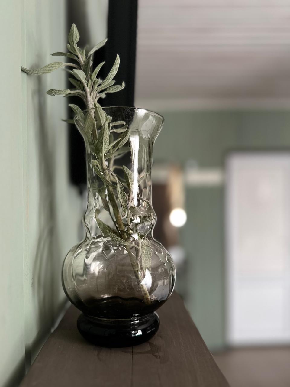 Фото Частный дом Терра