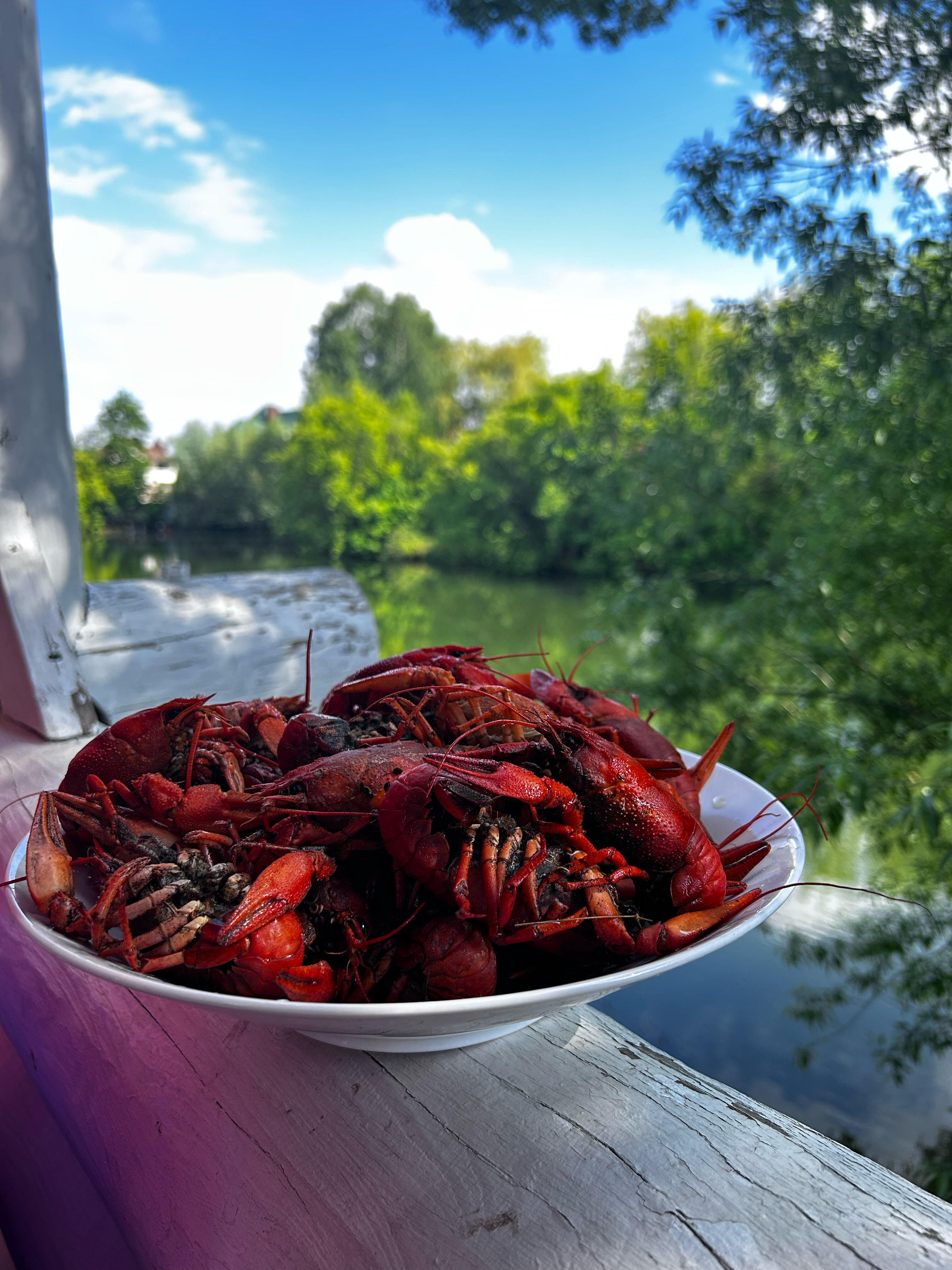 Фото Озерки