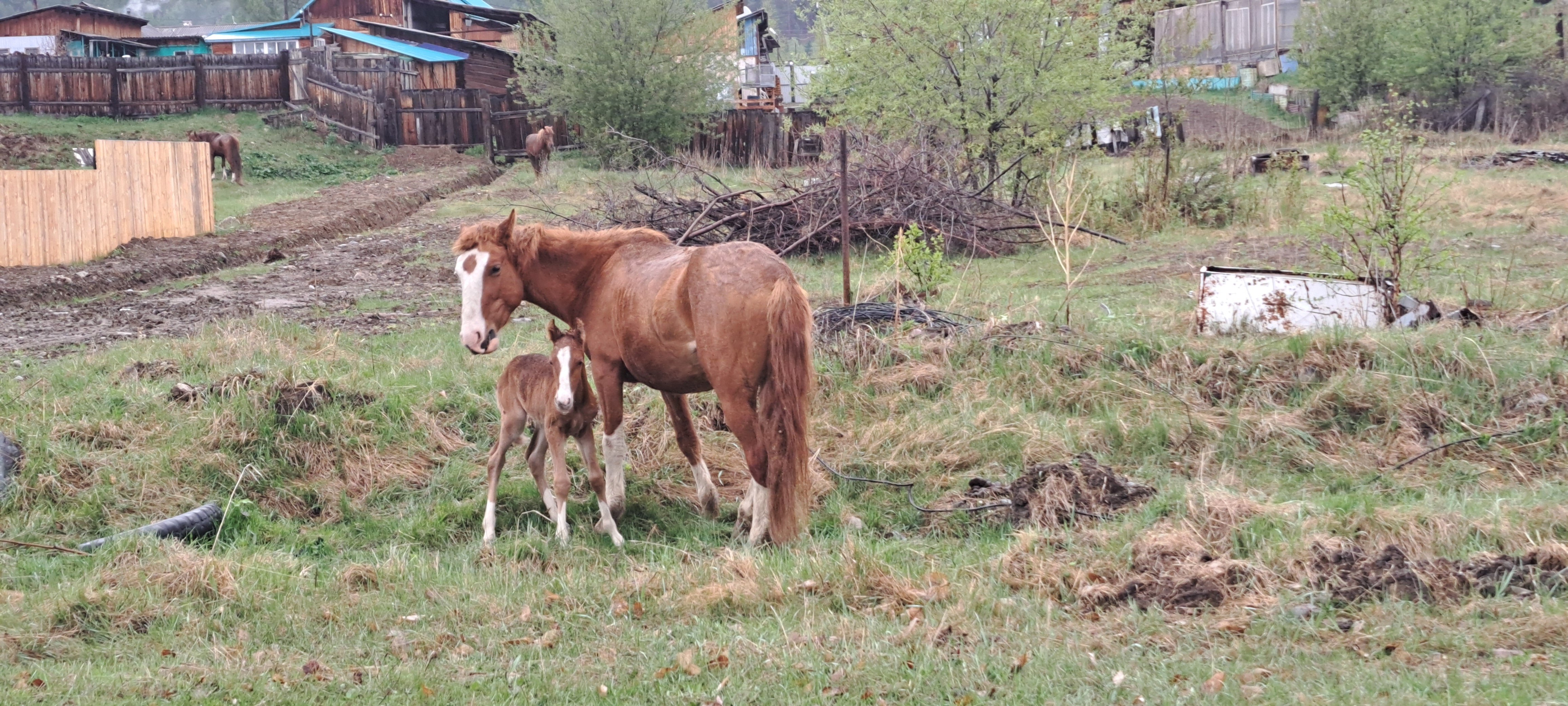 Фото Северный Байкал