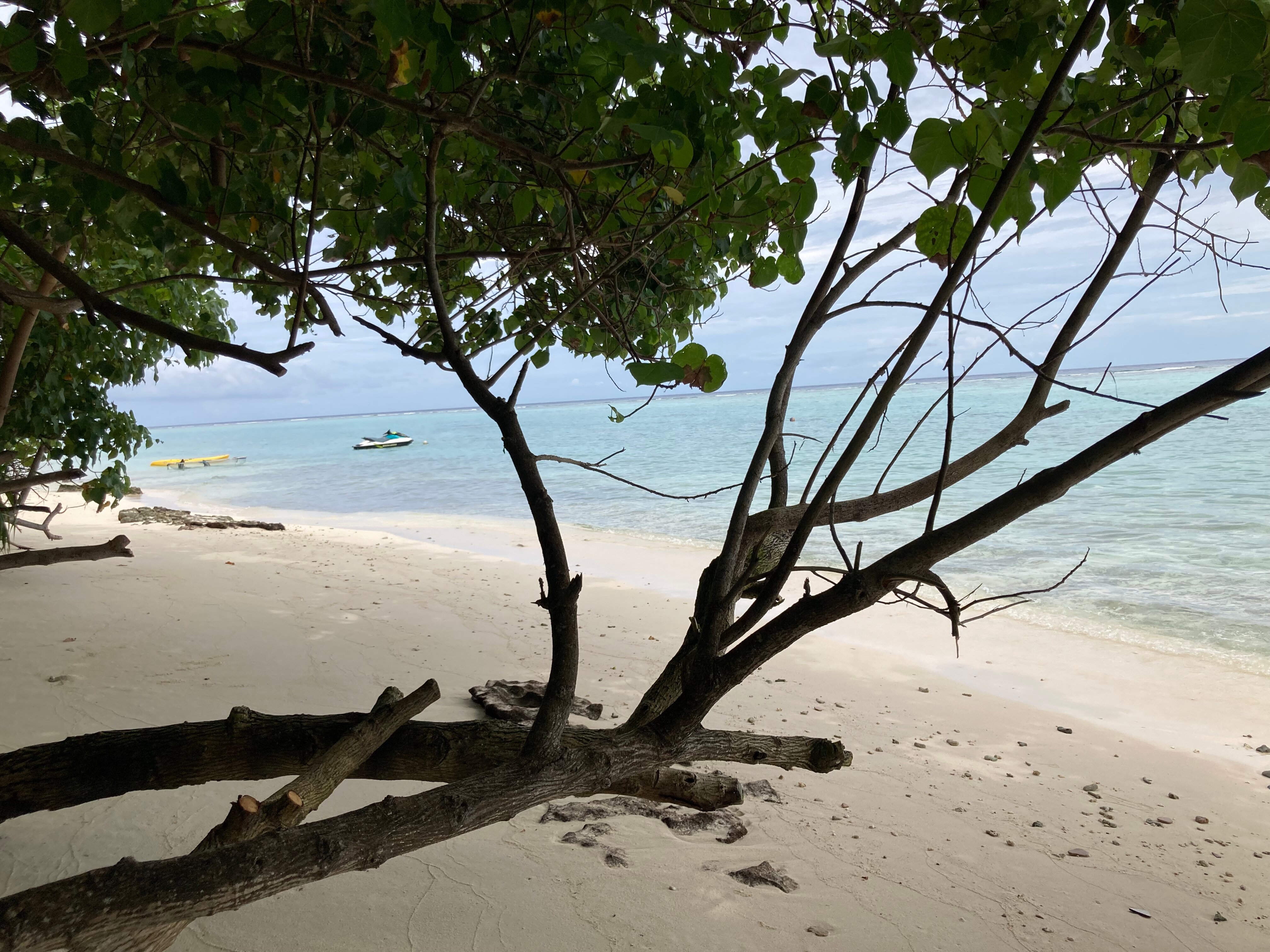 Фото Ramzu Villa Thoddoo